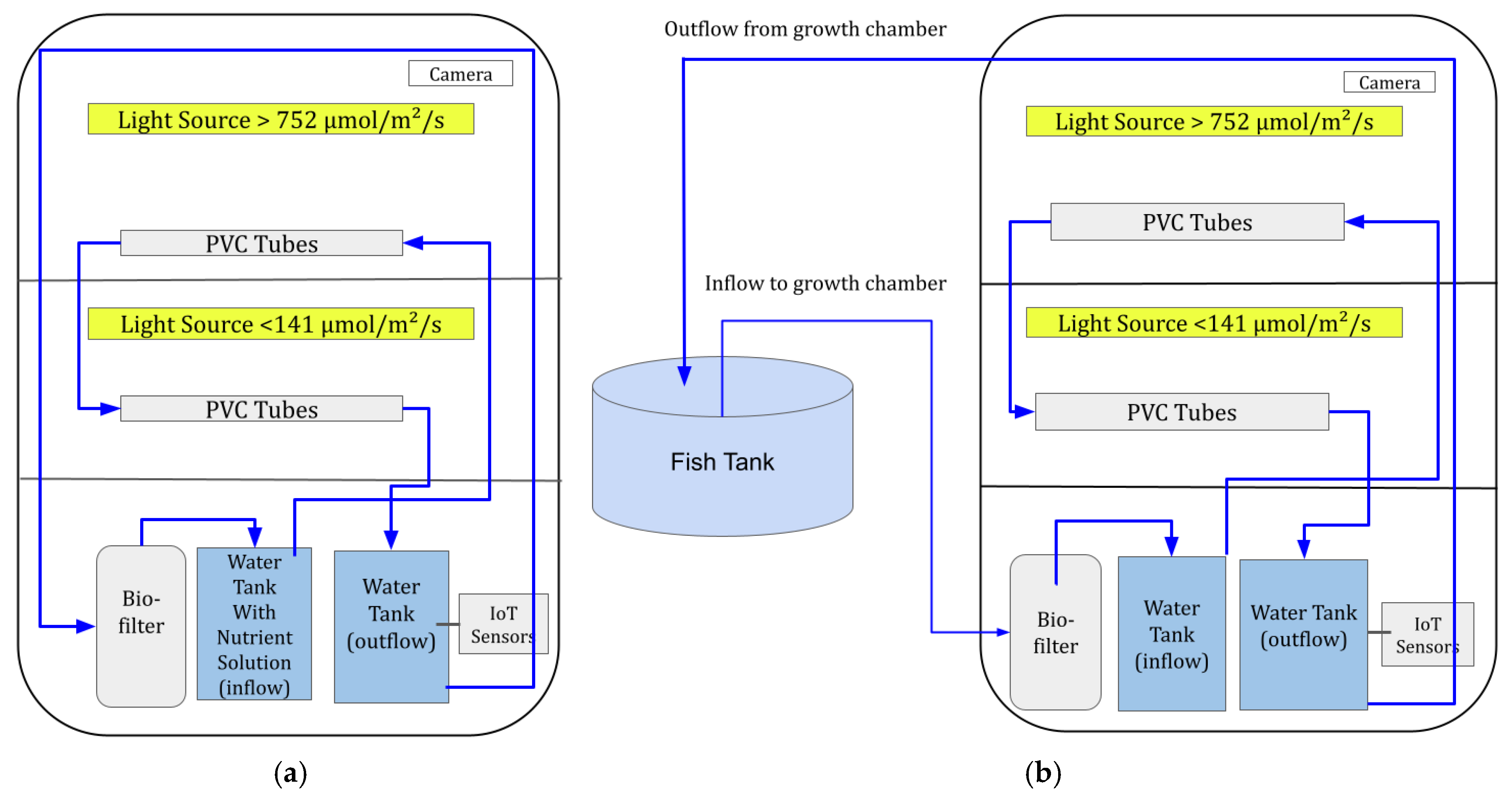 Horticulturae 11 00588 g001