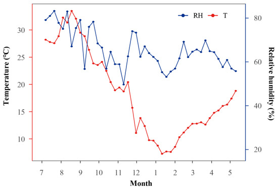 Flooding Tolerance and Recovery Capacity of Carya illinoinensis