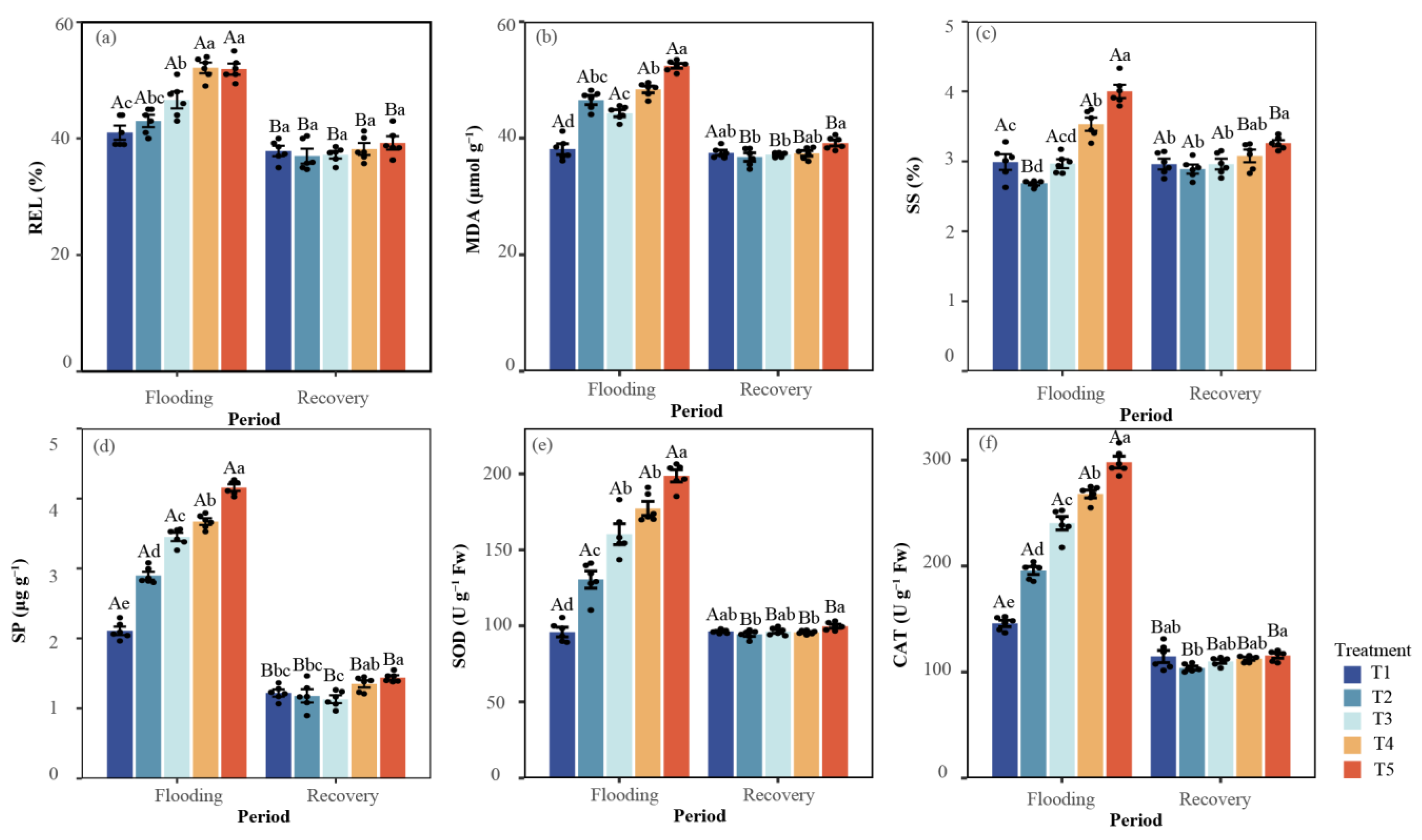 Flooding Tolerance and Recovery Capacity of Carya illinoinensis