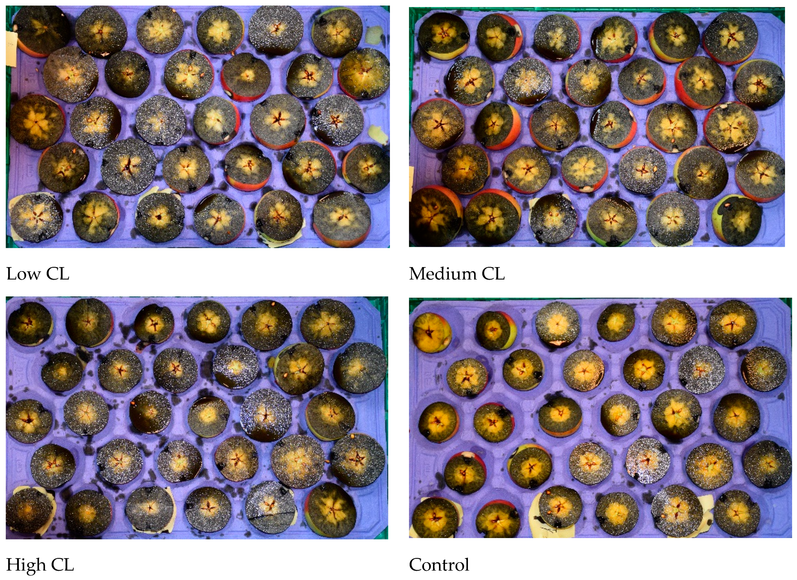 Horticulturae 11 00597 g008