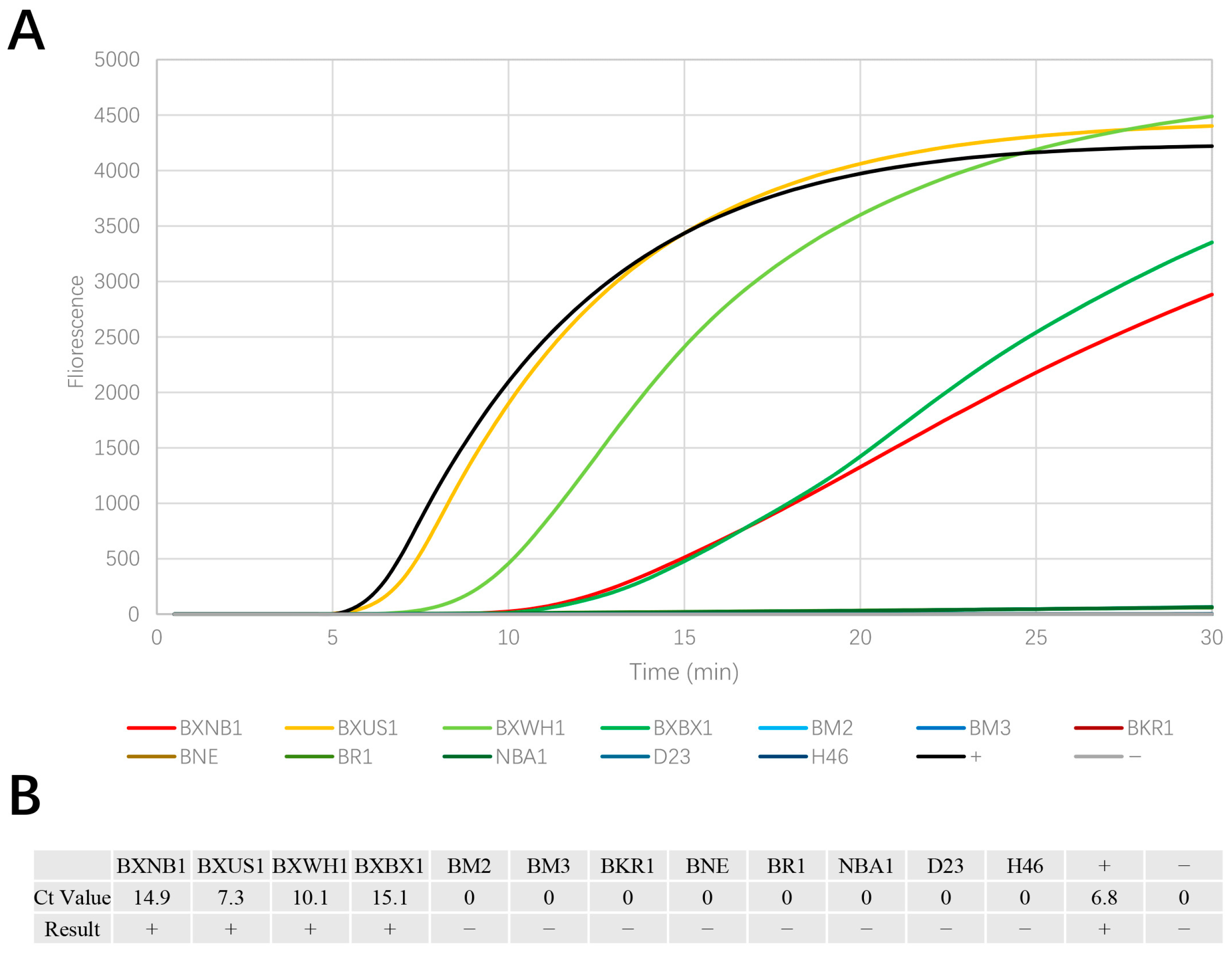 Horticulturae 11 00602 g003
