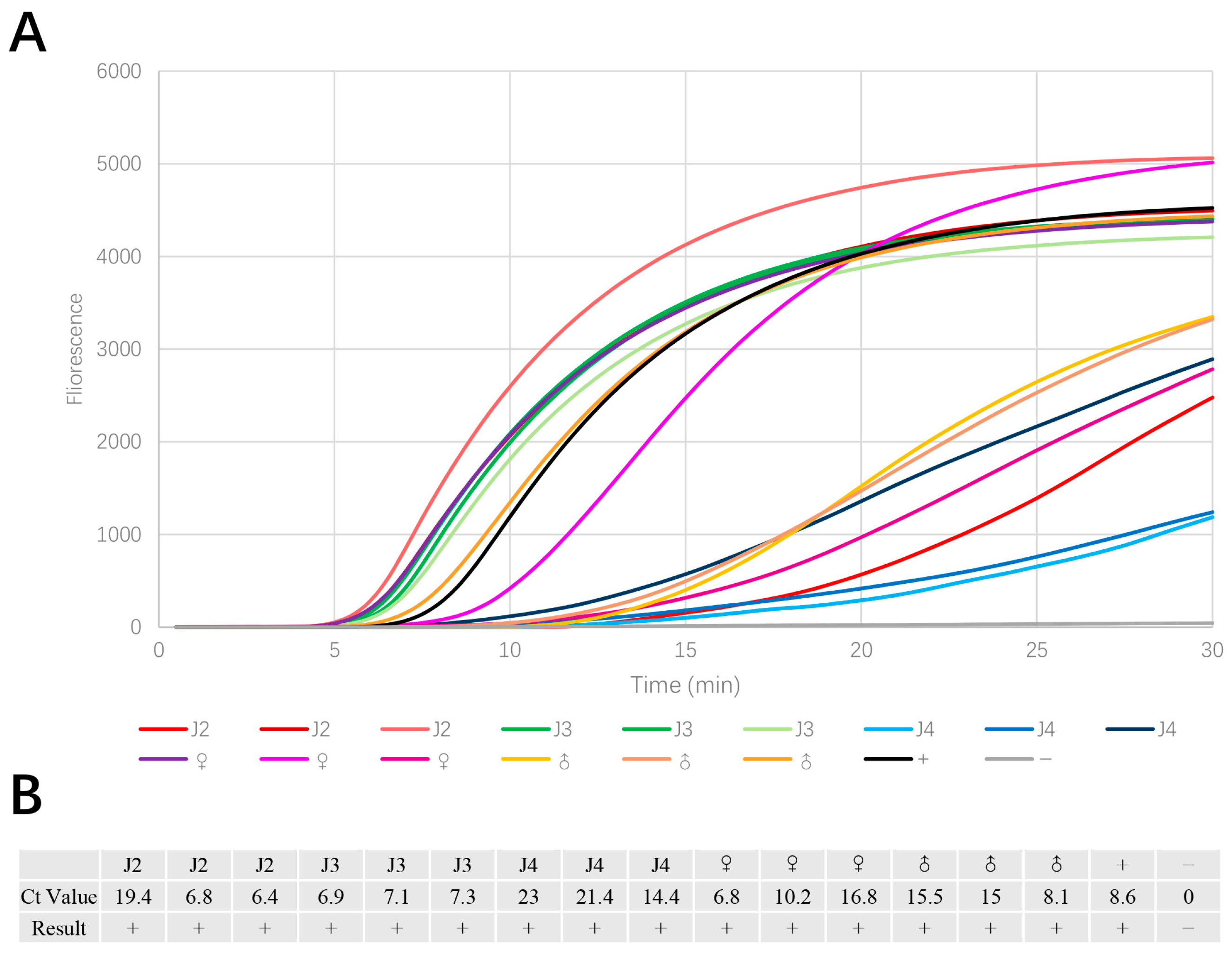Horticulturae 11 00602 g006