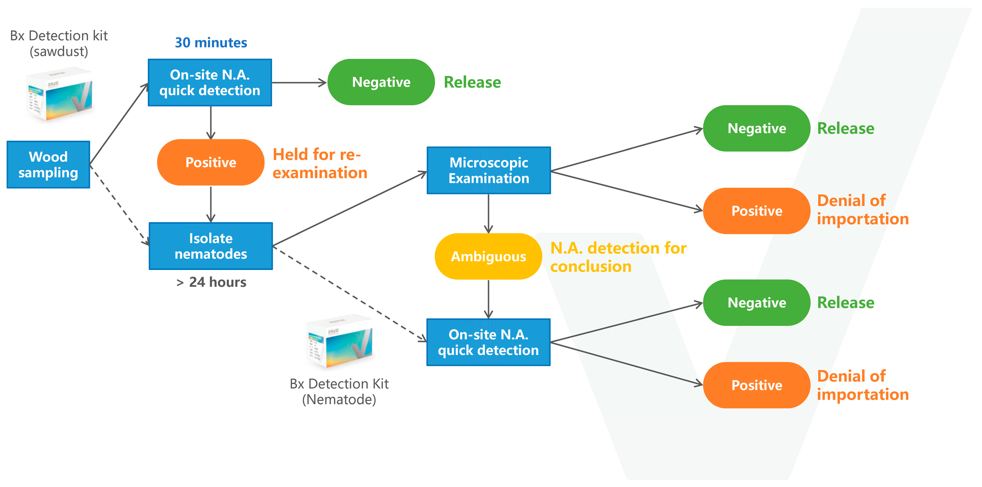 Horticulturae 11 00602 g008
