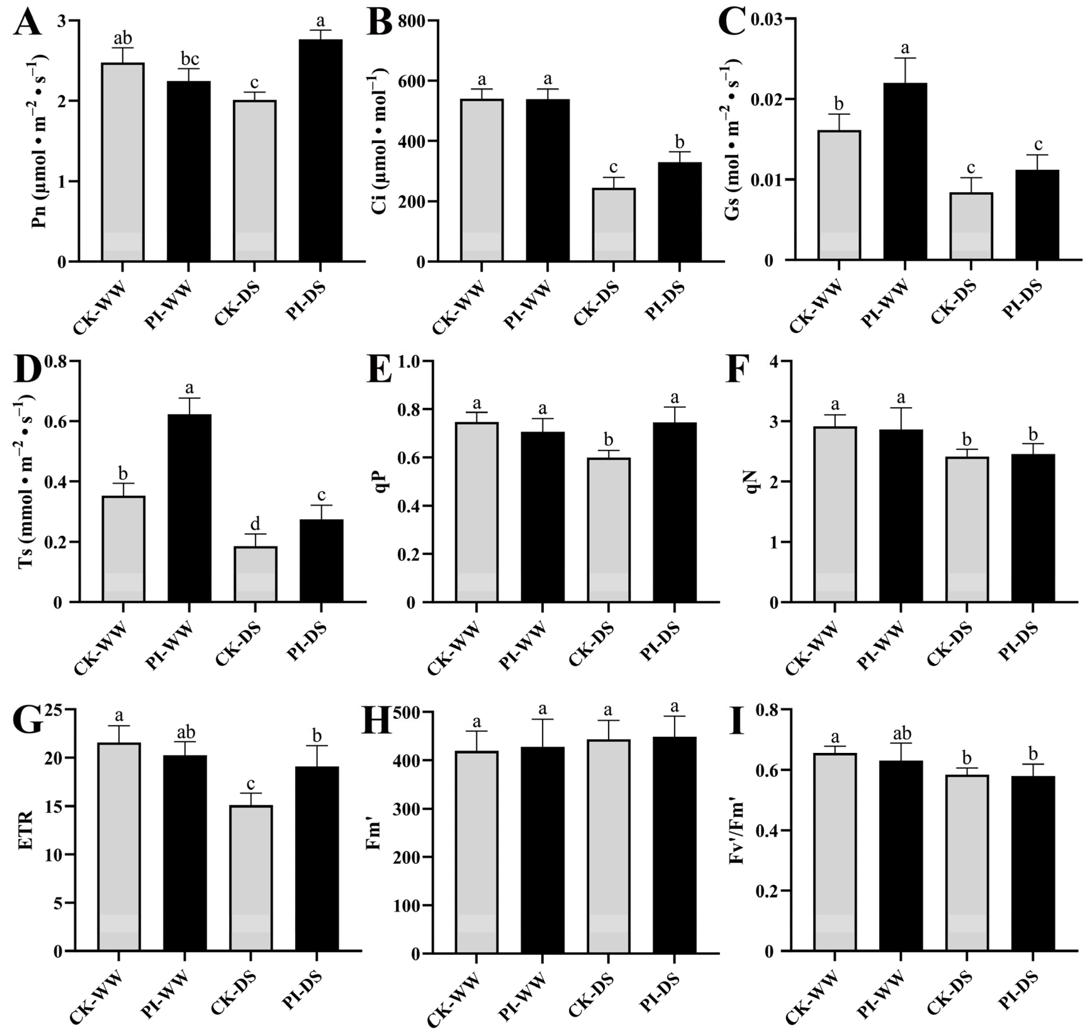 Horticulturae 11 00605 g002