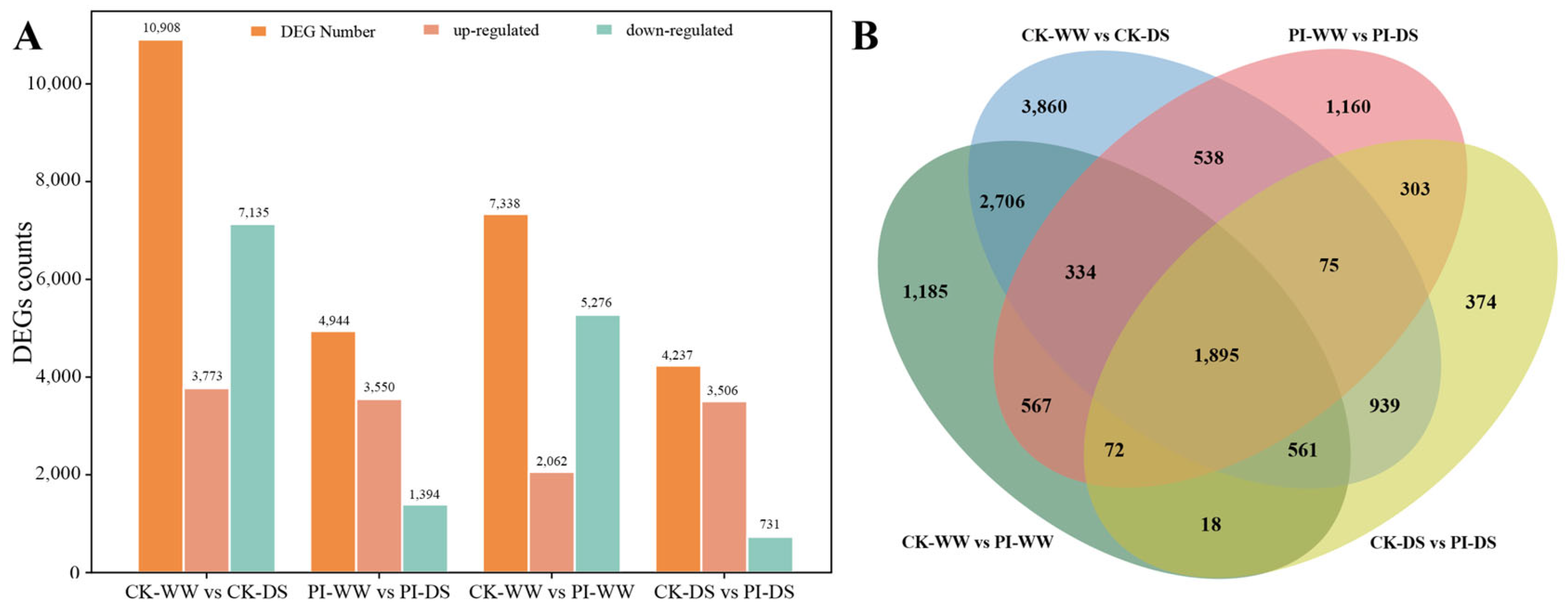 Horticulturae 11 00605 g004