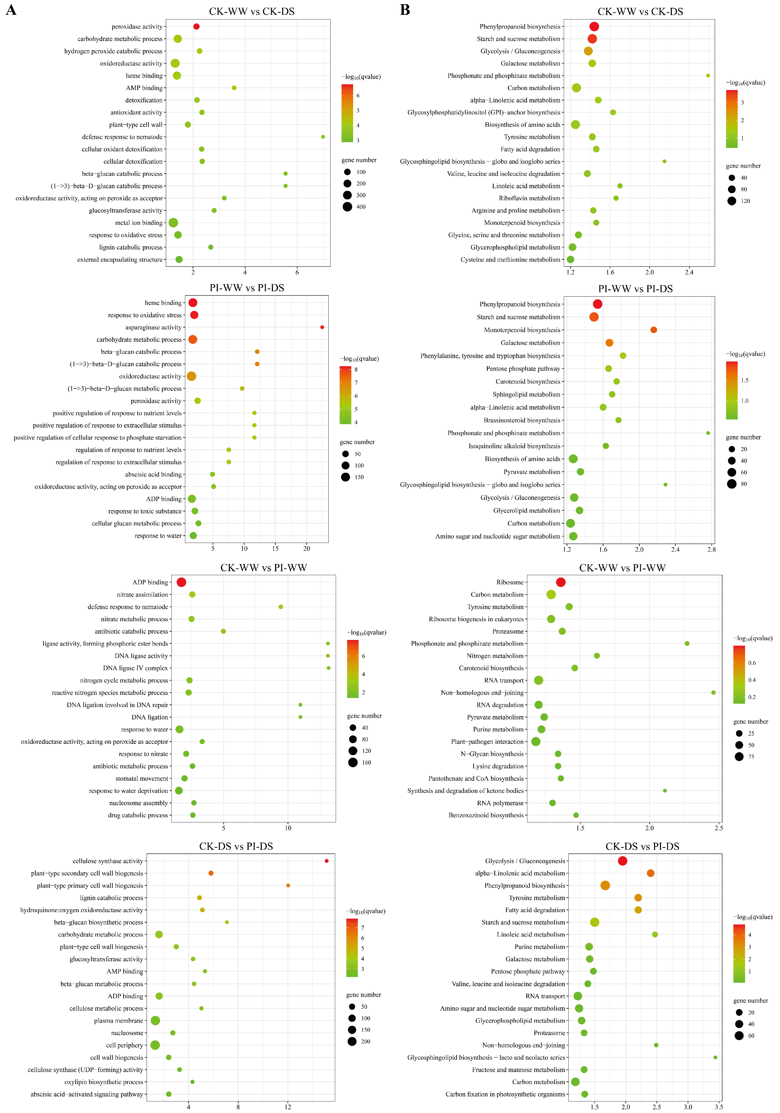 Horticulturae 11 00605 g006