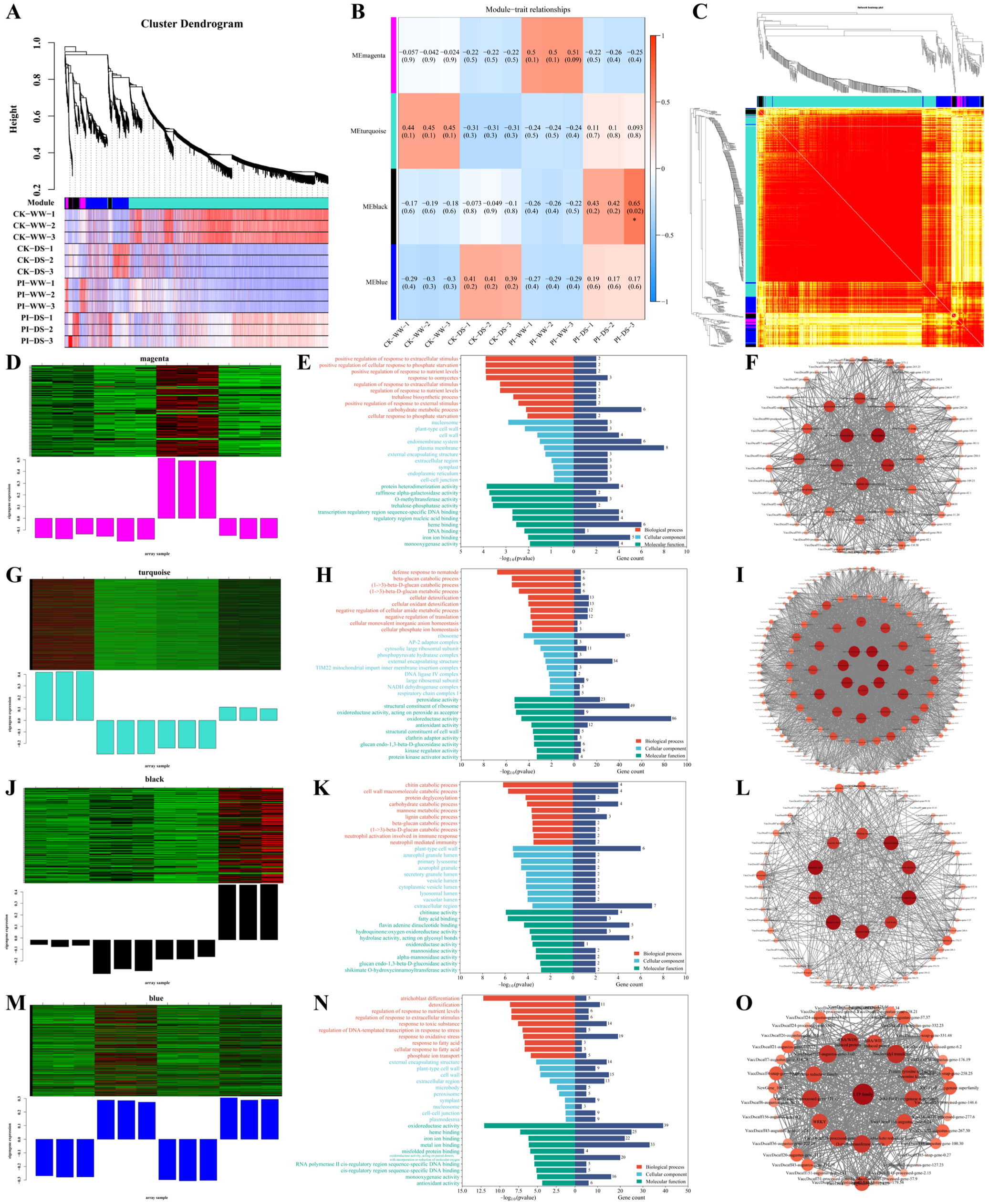 Horticulturae 11 00605 g007
