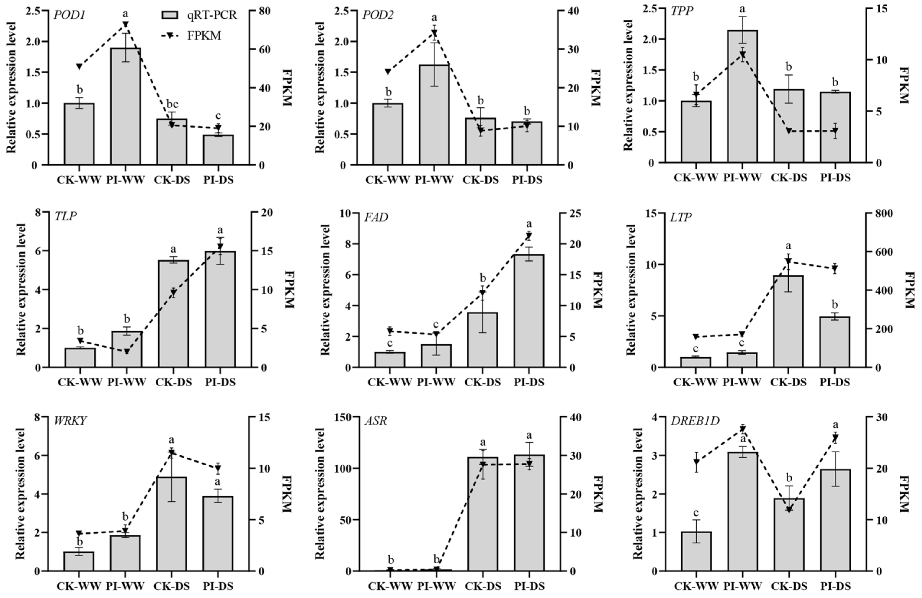 Horticulturae 11 00605 g008