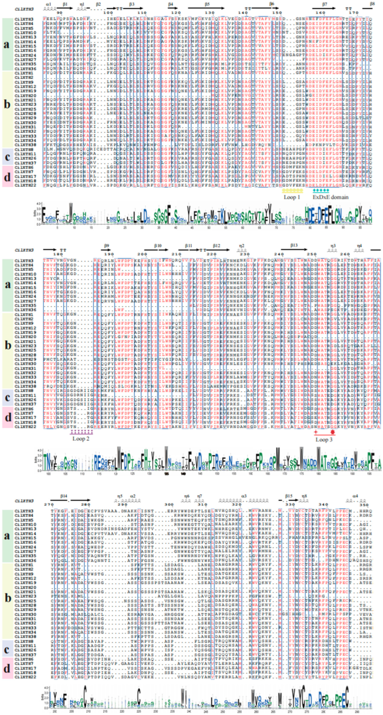 Horticulturae 11 00609 g001