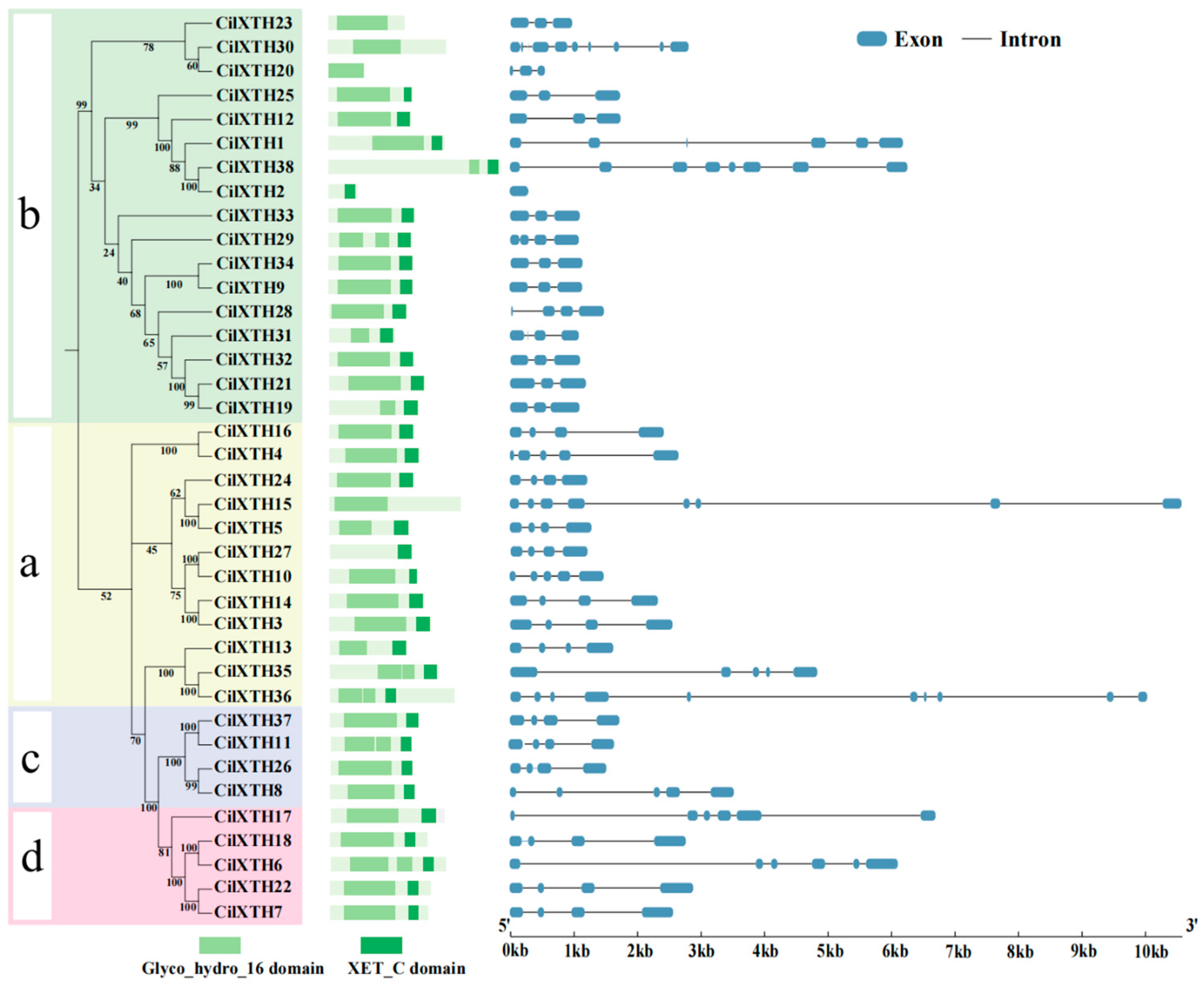 Horticulturae 11 00609 g002