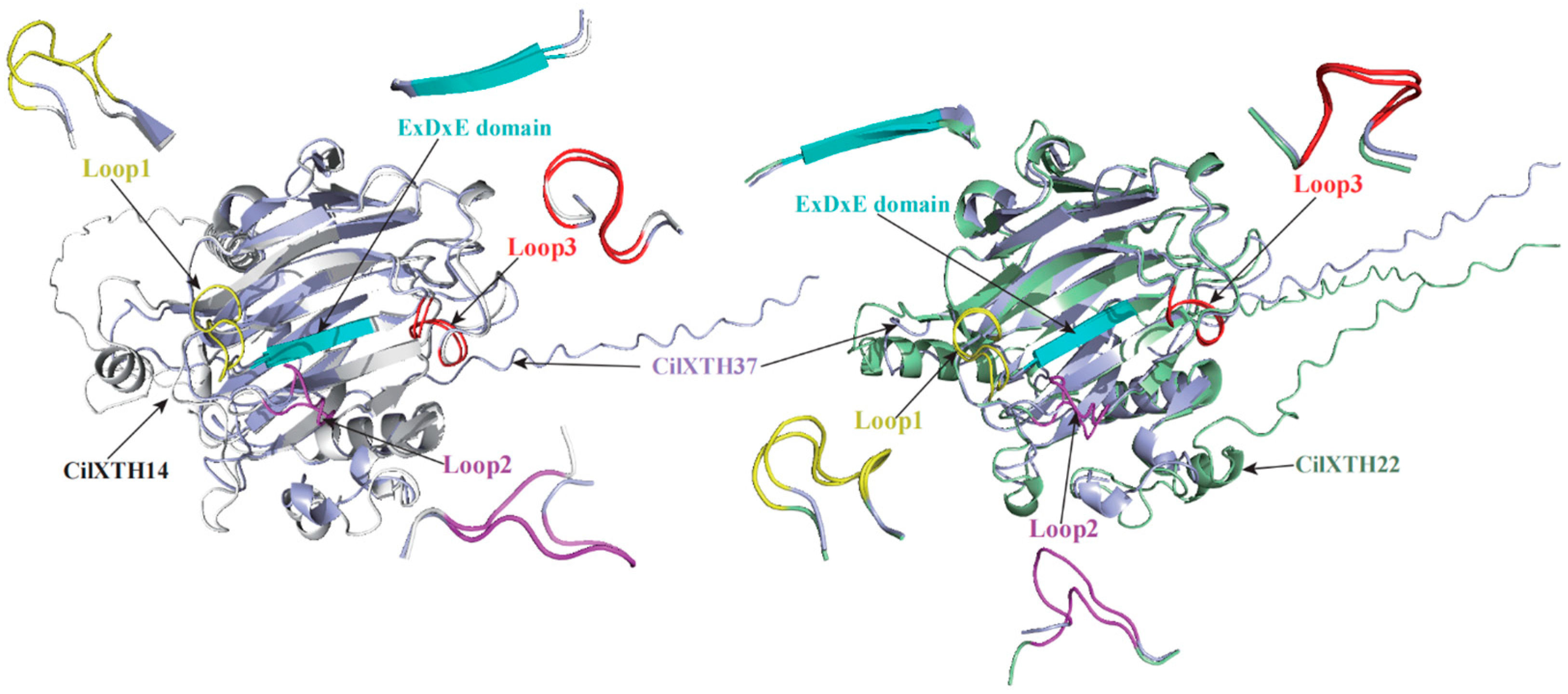 Horticulturae 11 00609 g003