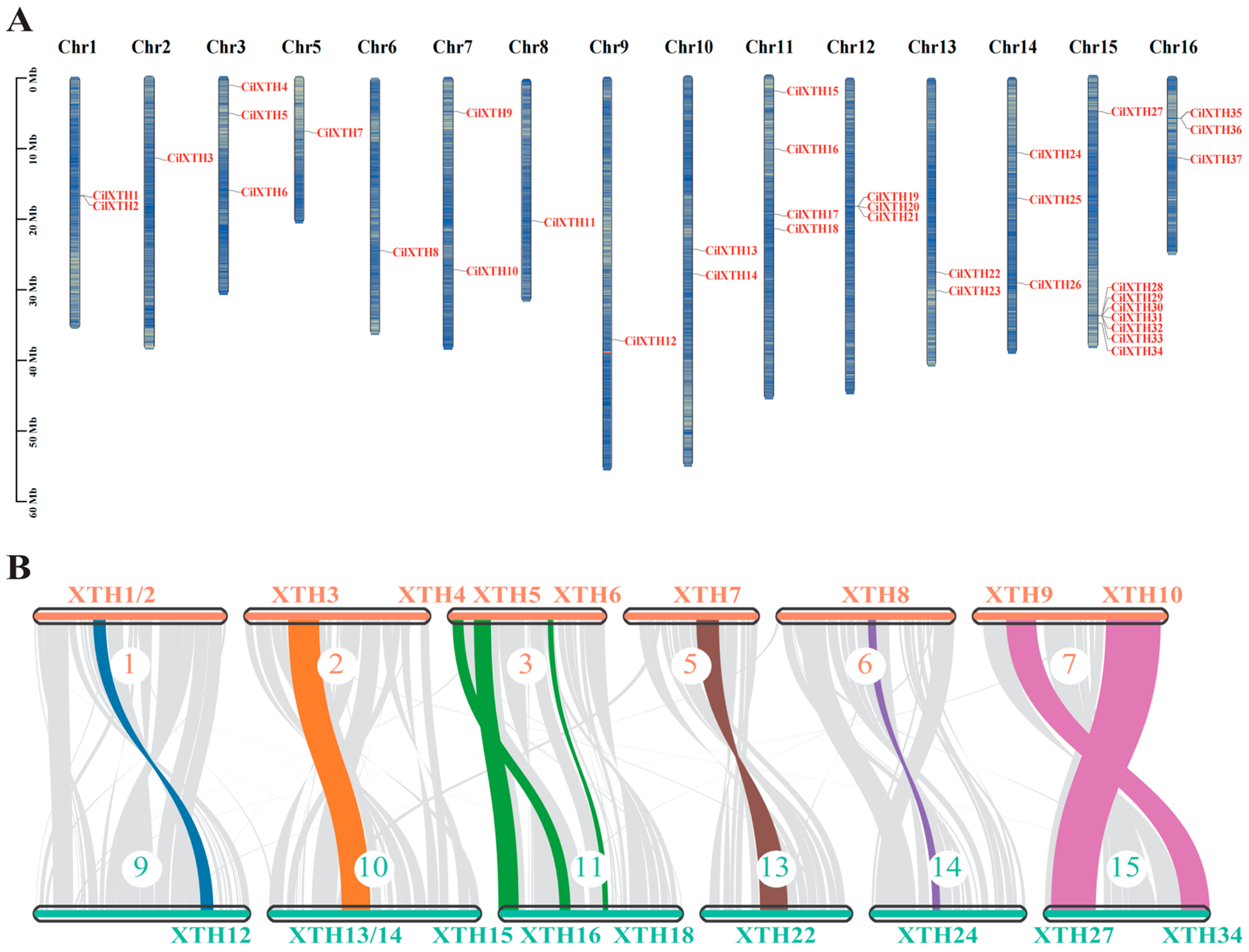 Horticulturae 11 00609 g005