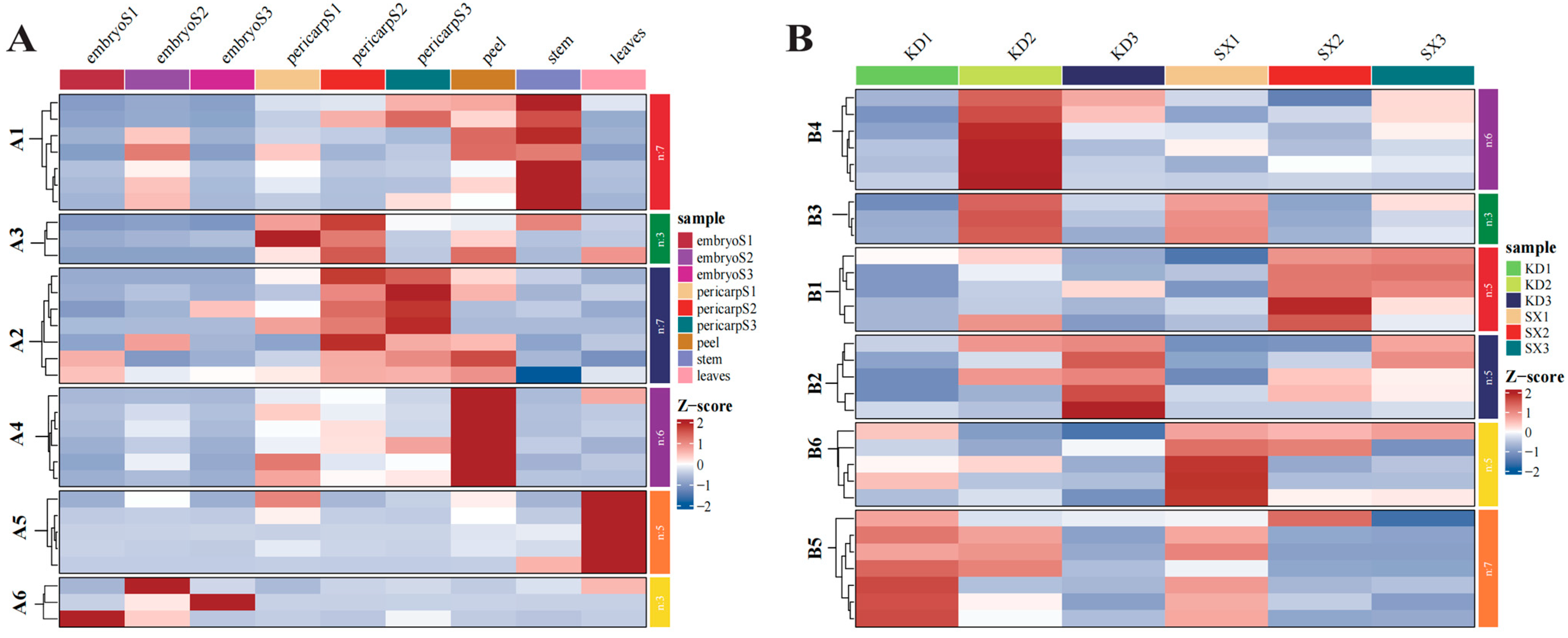 Horticulturae 11 00609 g006