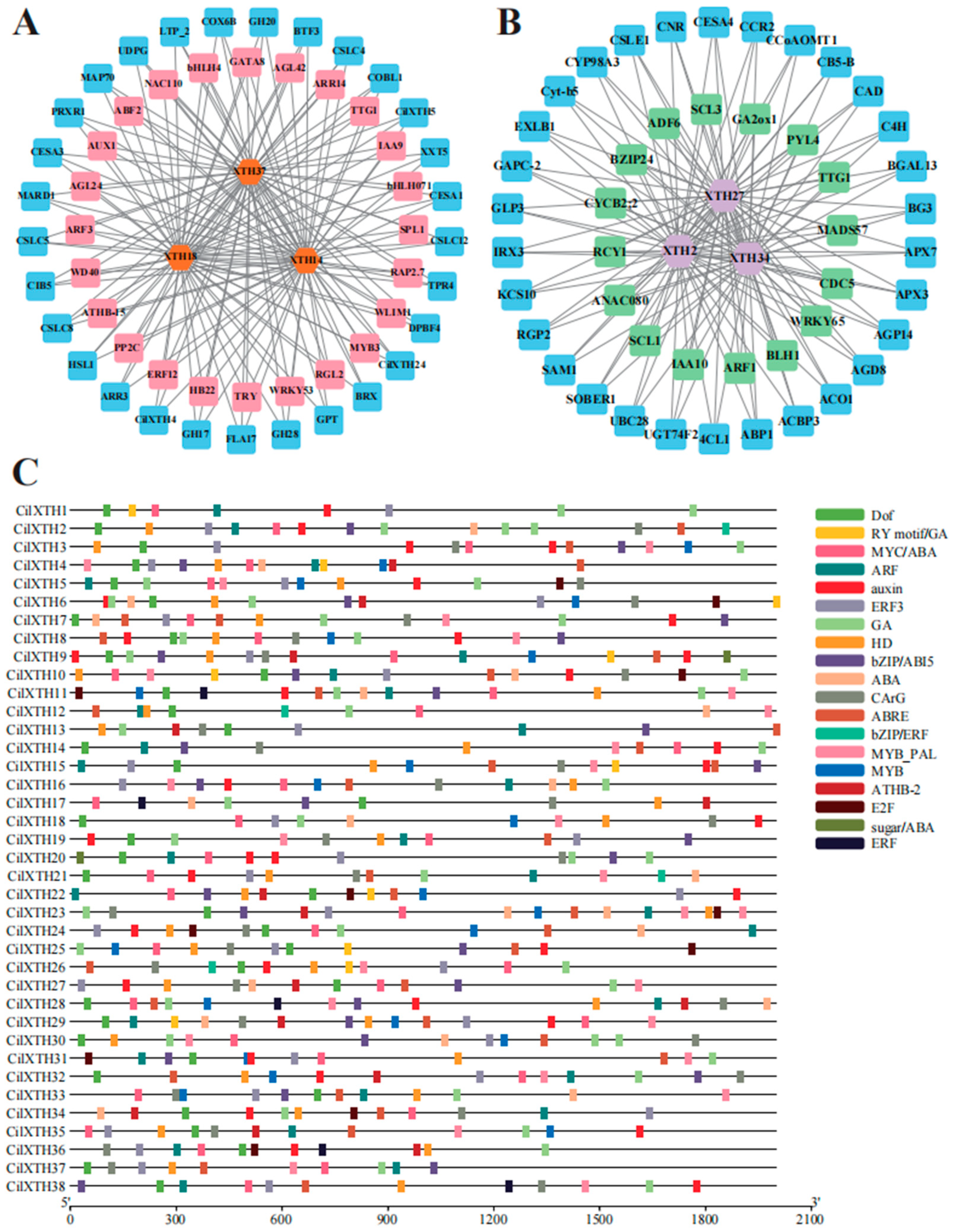 Horticulturae 11 00609 g007