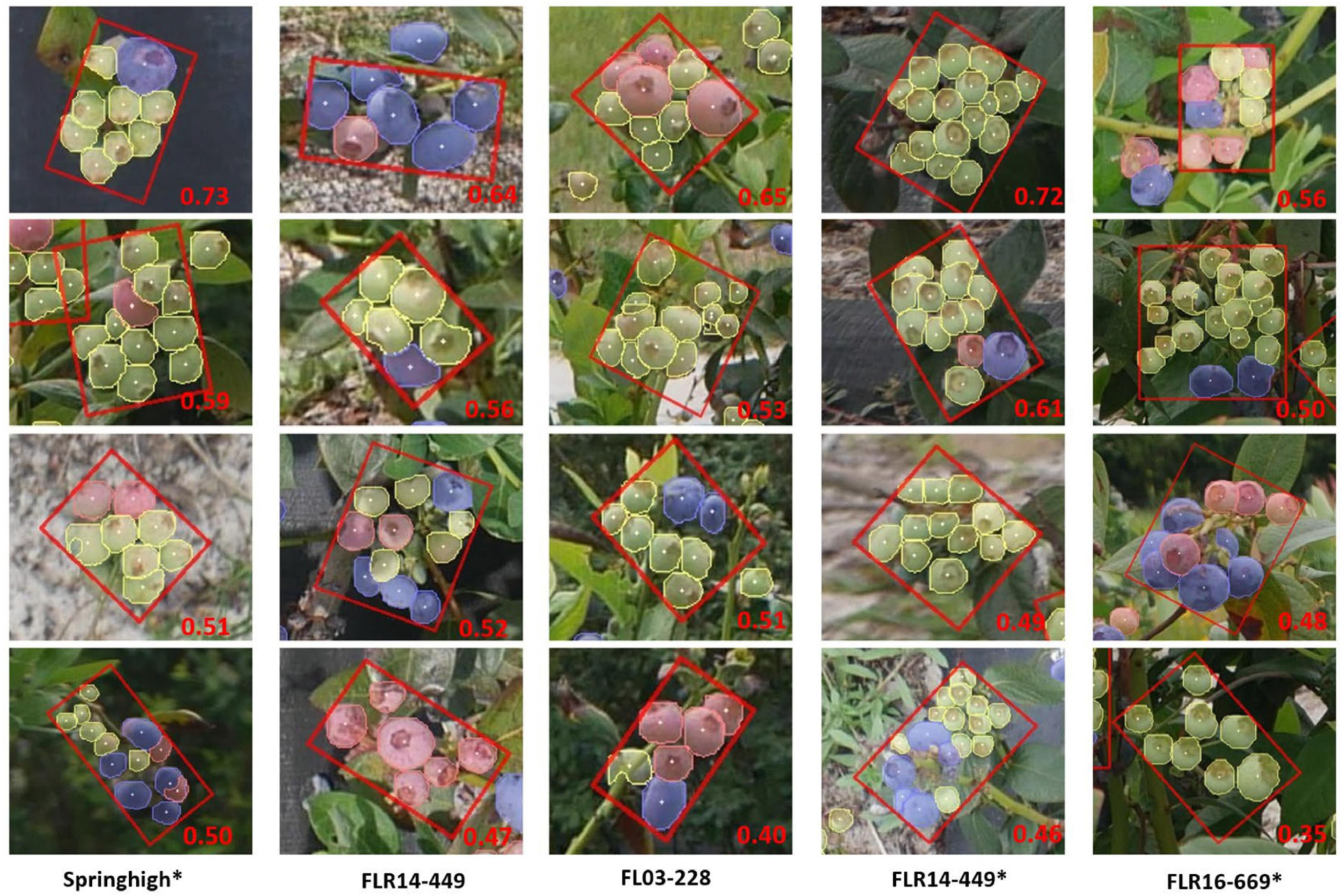 Horticulturae 11 00614 g002