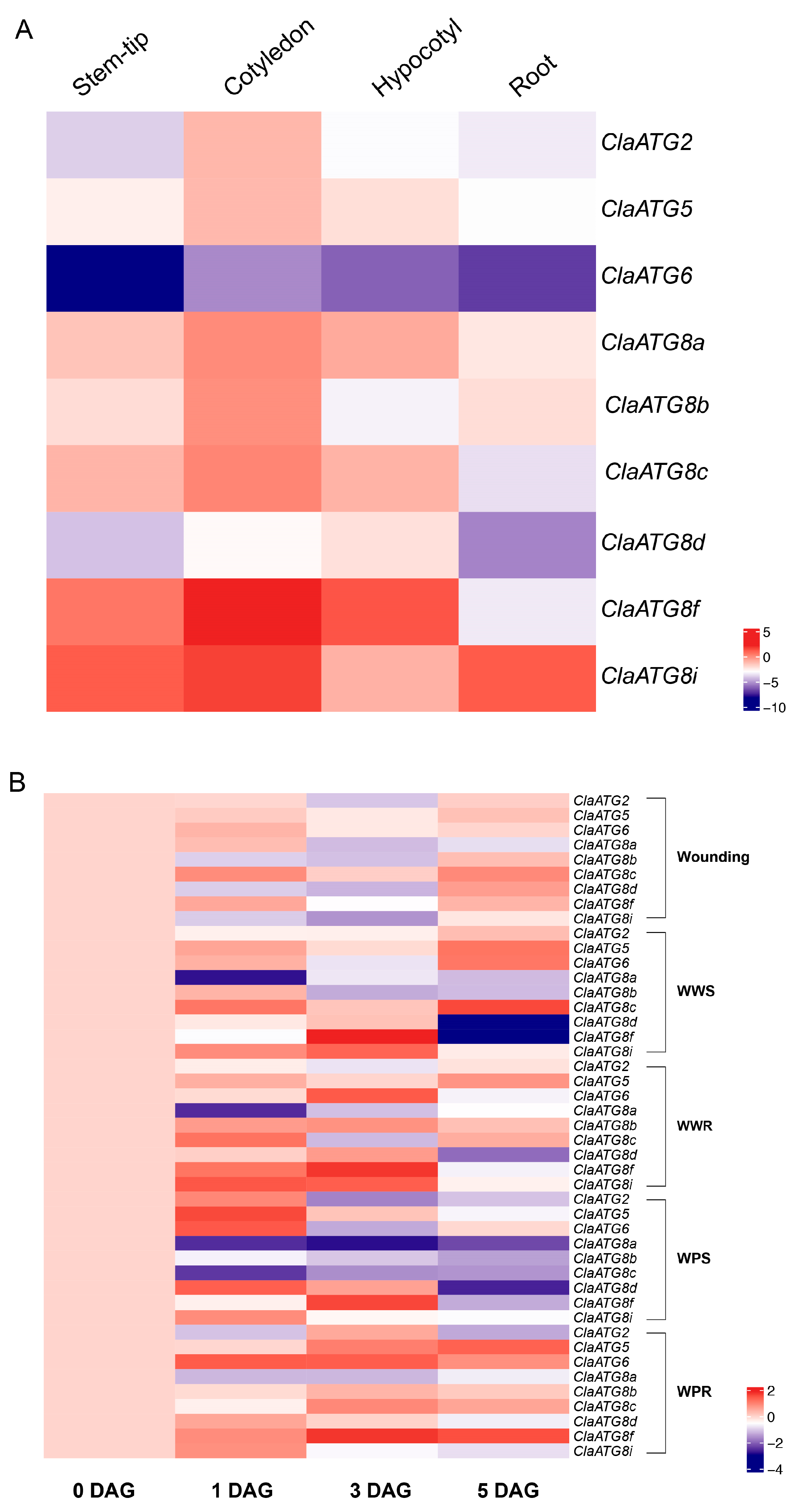 Horticulturae 11 00619 g004