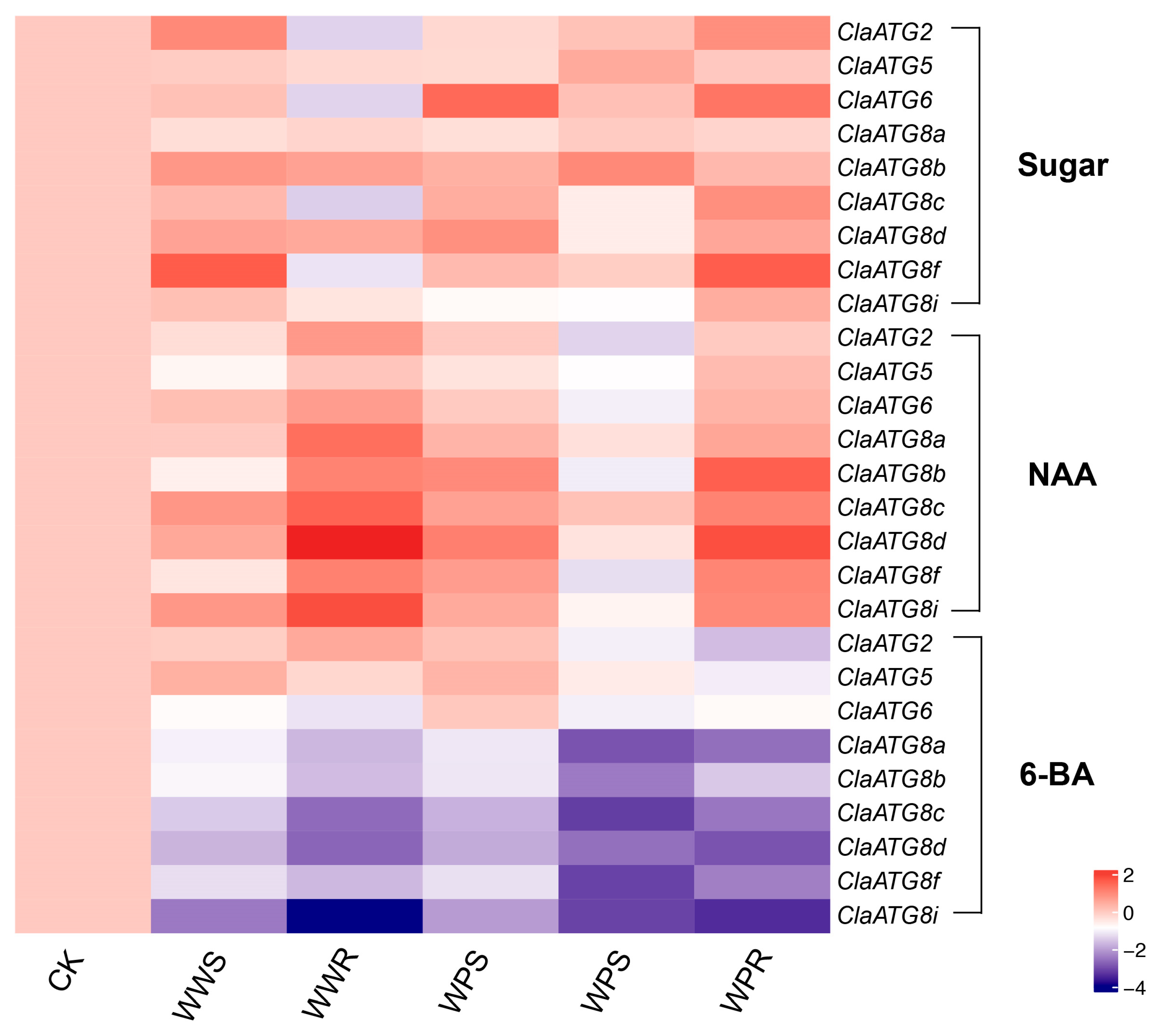 Horticulturae 11 00619 g005