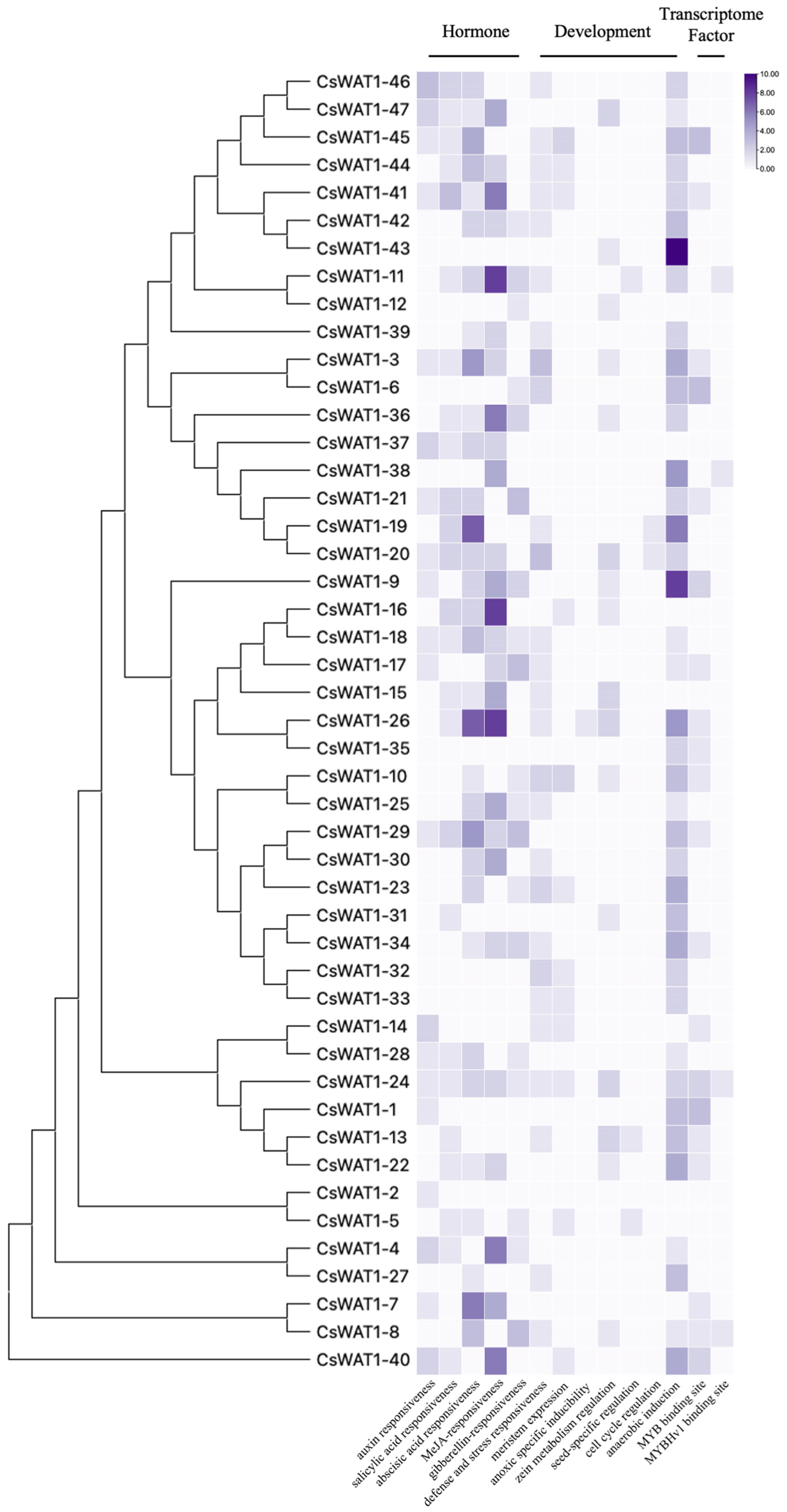 Horticulturae 11 00620 g004