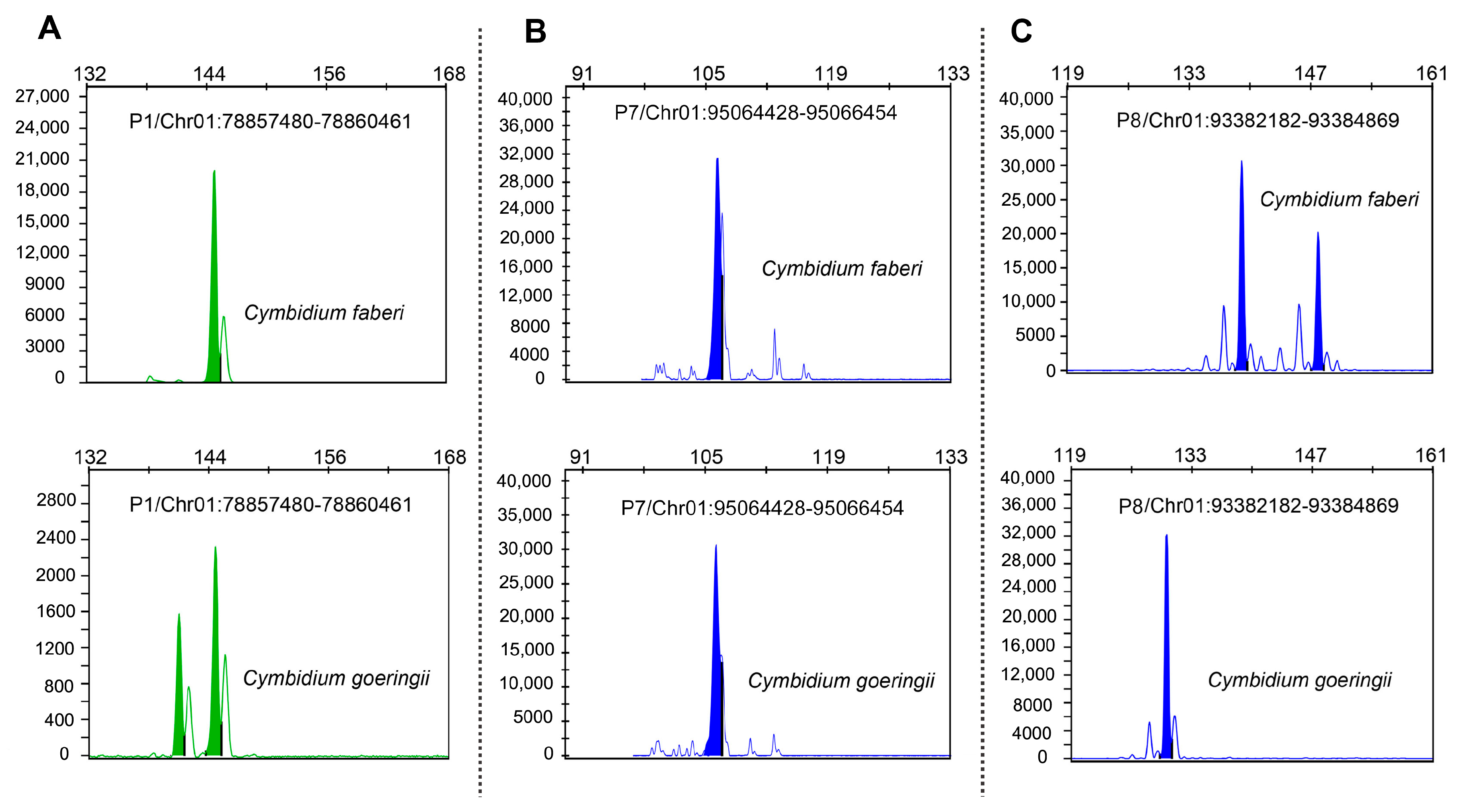 Horticulturae 11 00622 g004