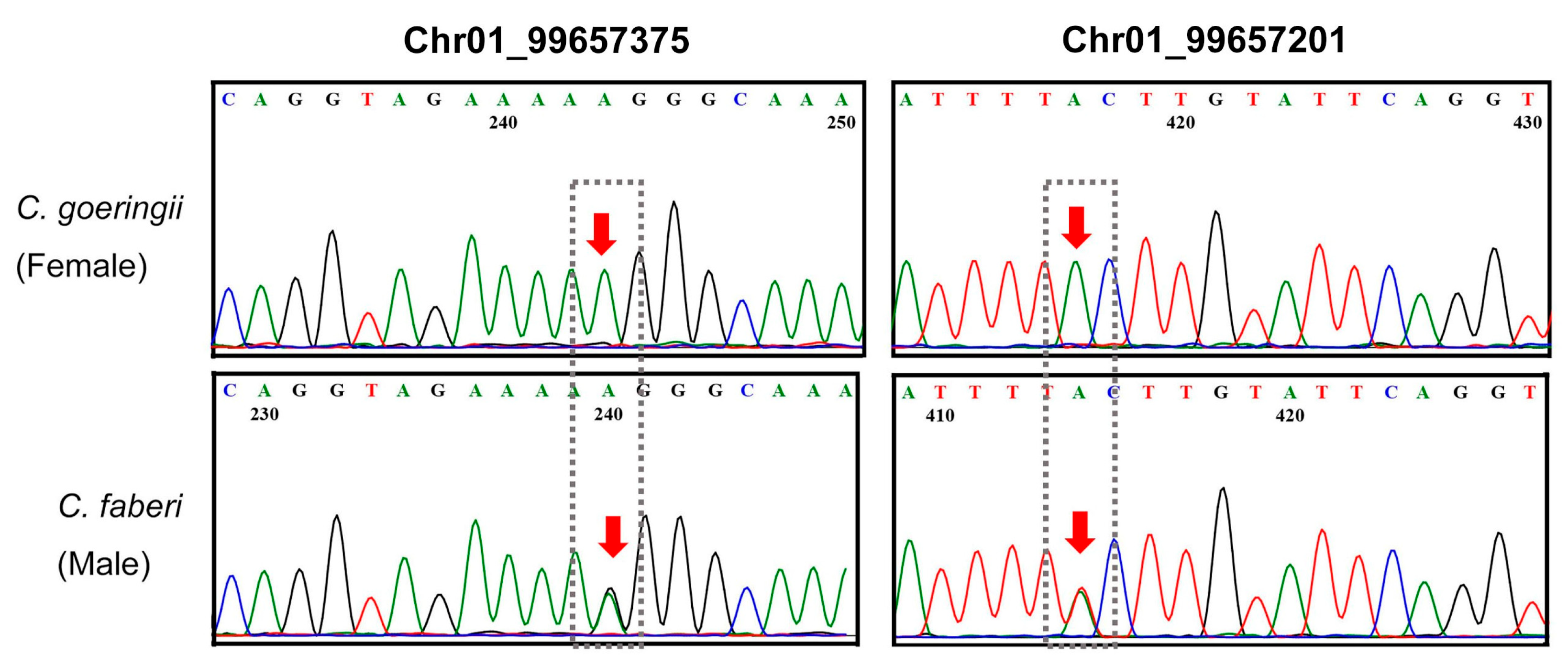 Horticulturae 11 00622 g005