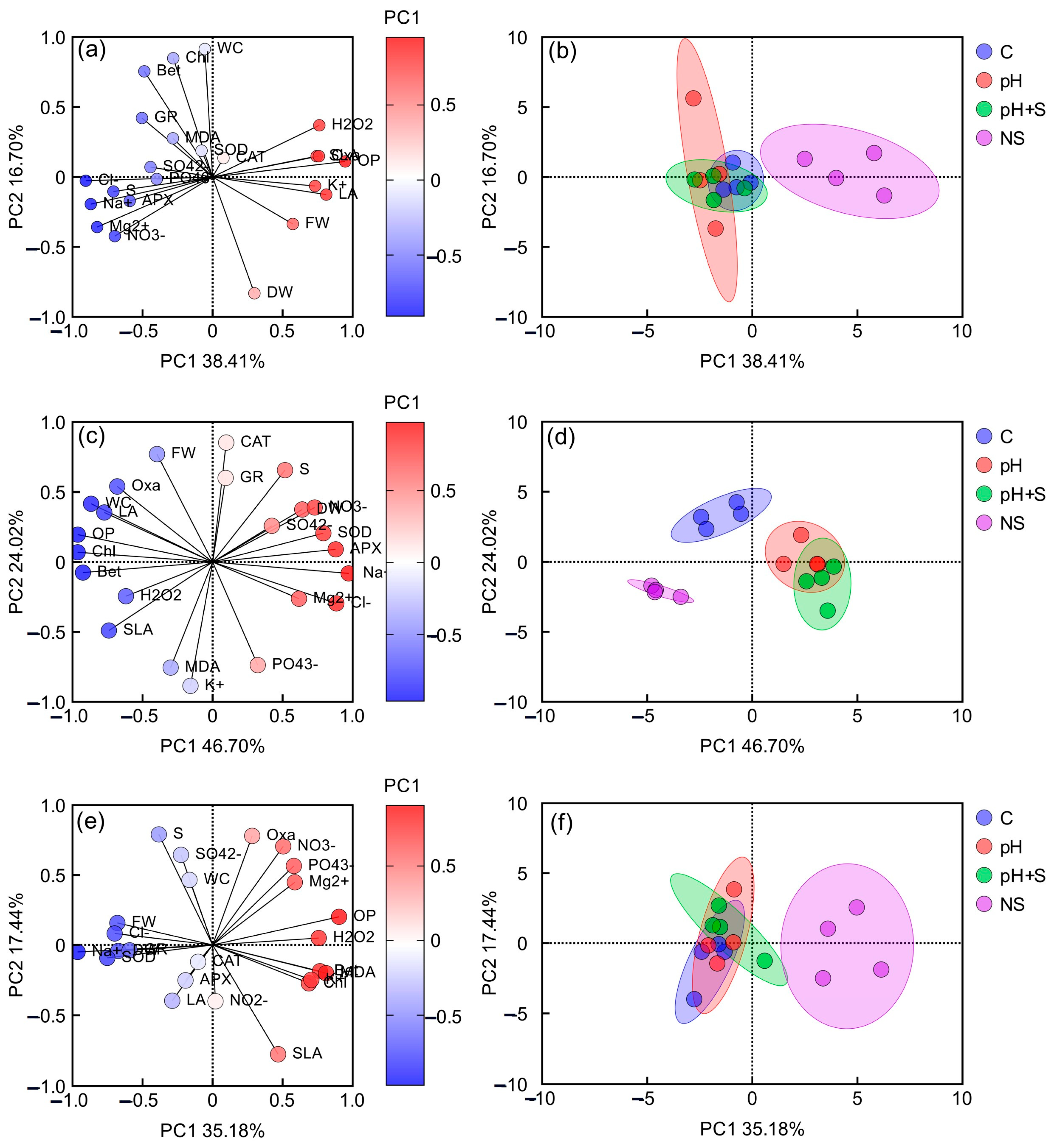 Horticulturae 11 00623 g007