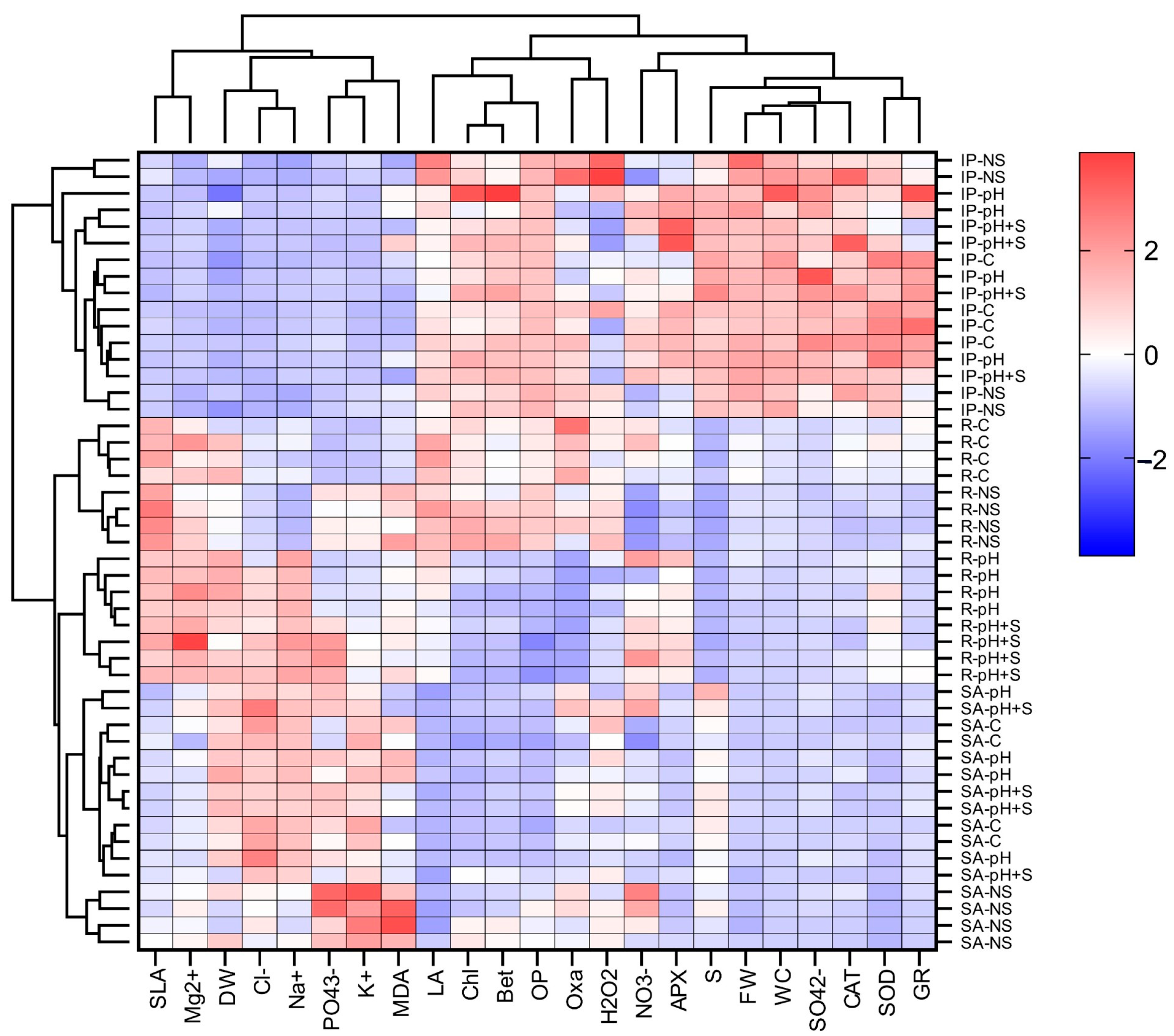 Horticulturae 11 00623 g008