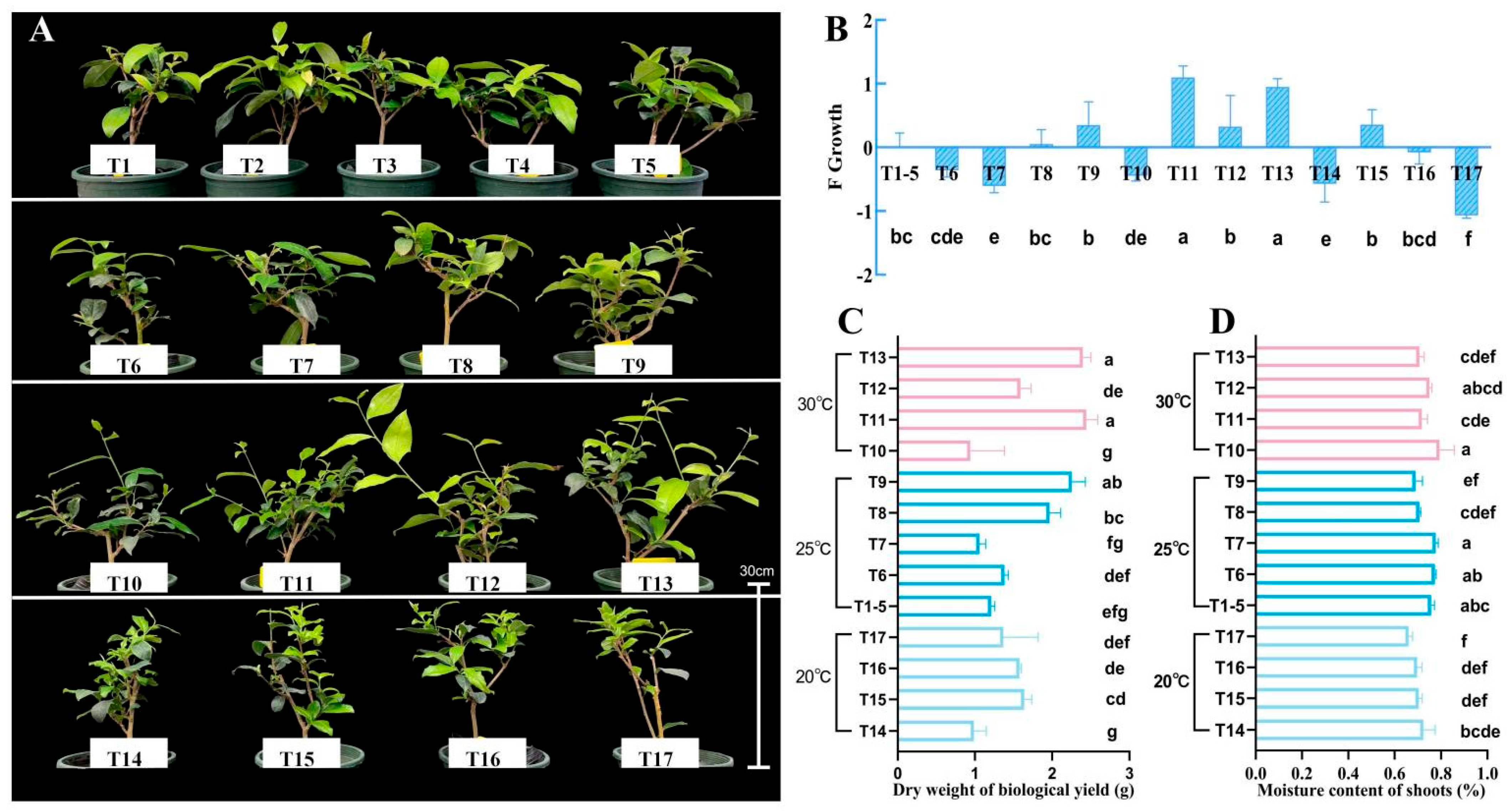Horticulturae 11 00624 g002 Horticulturae 11 00624 g002