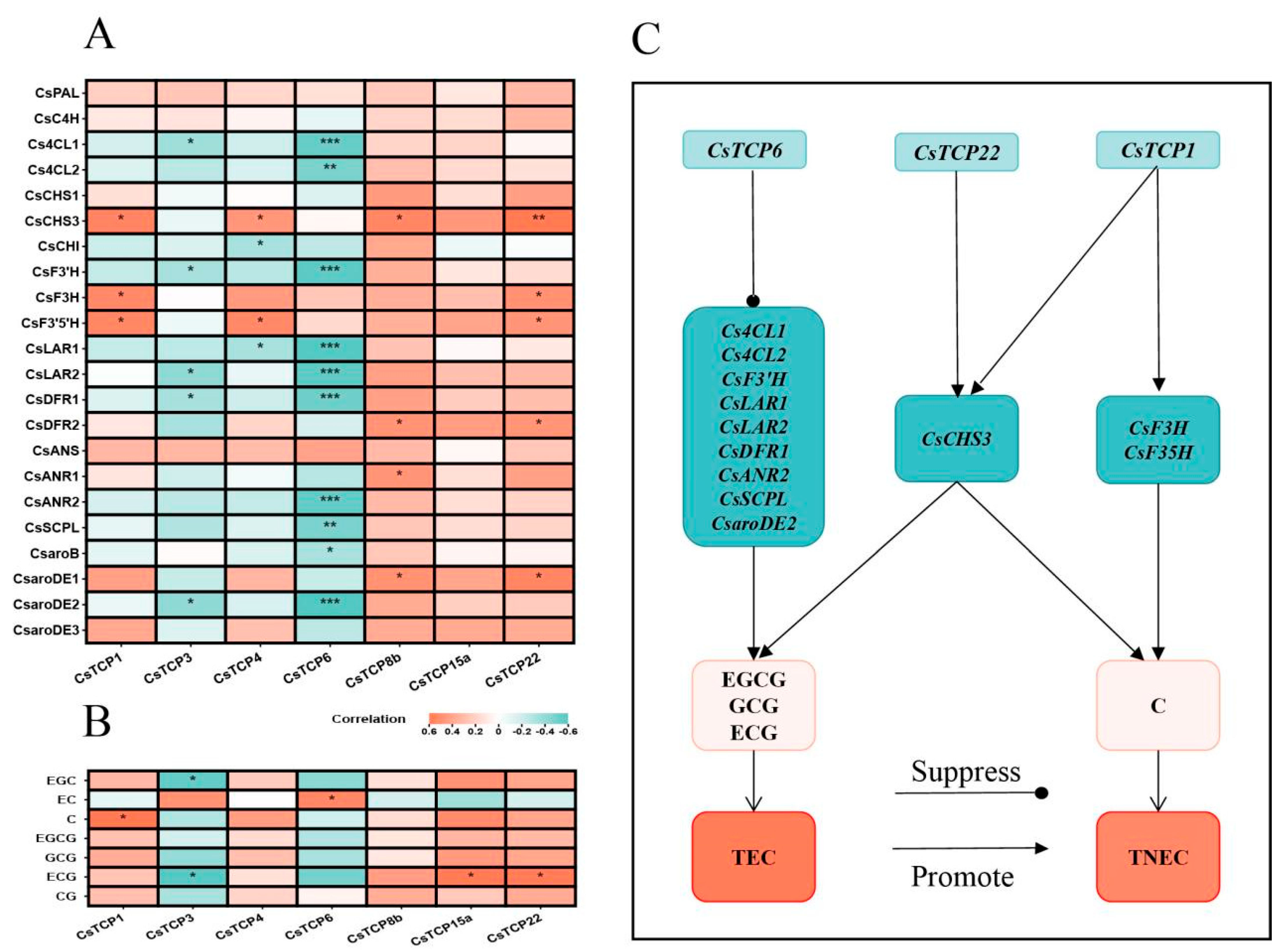 Horticulturae 11 00624 g006 Horticulturae 11 00624 g006