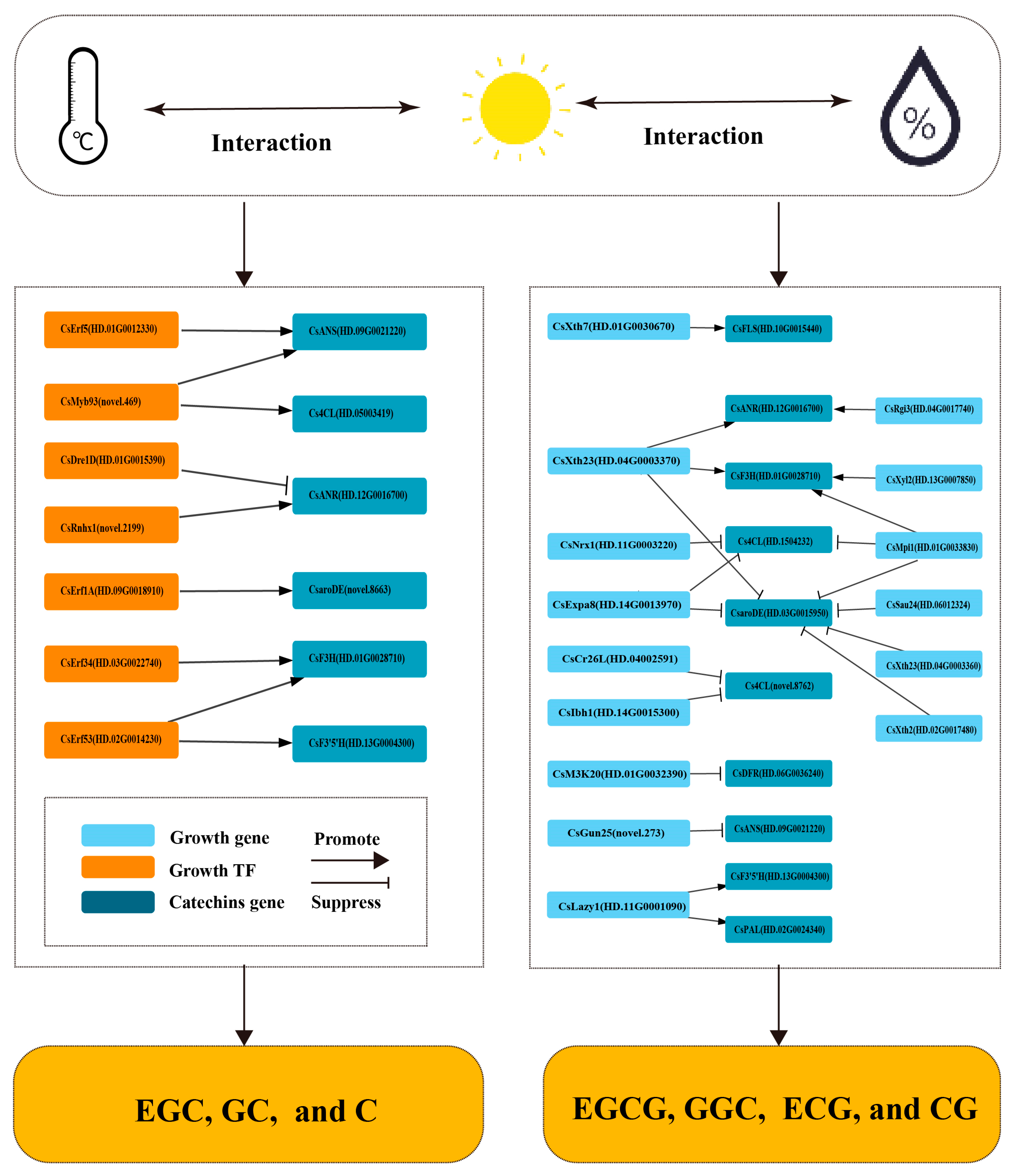 Horticulturae 11 00624 g007 Horticulturae 11 00624 g007