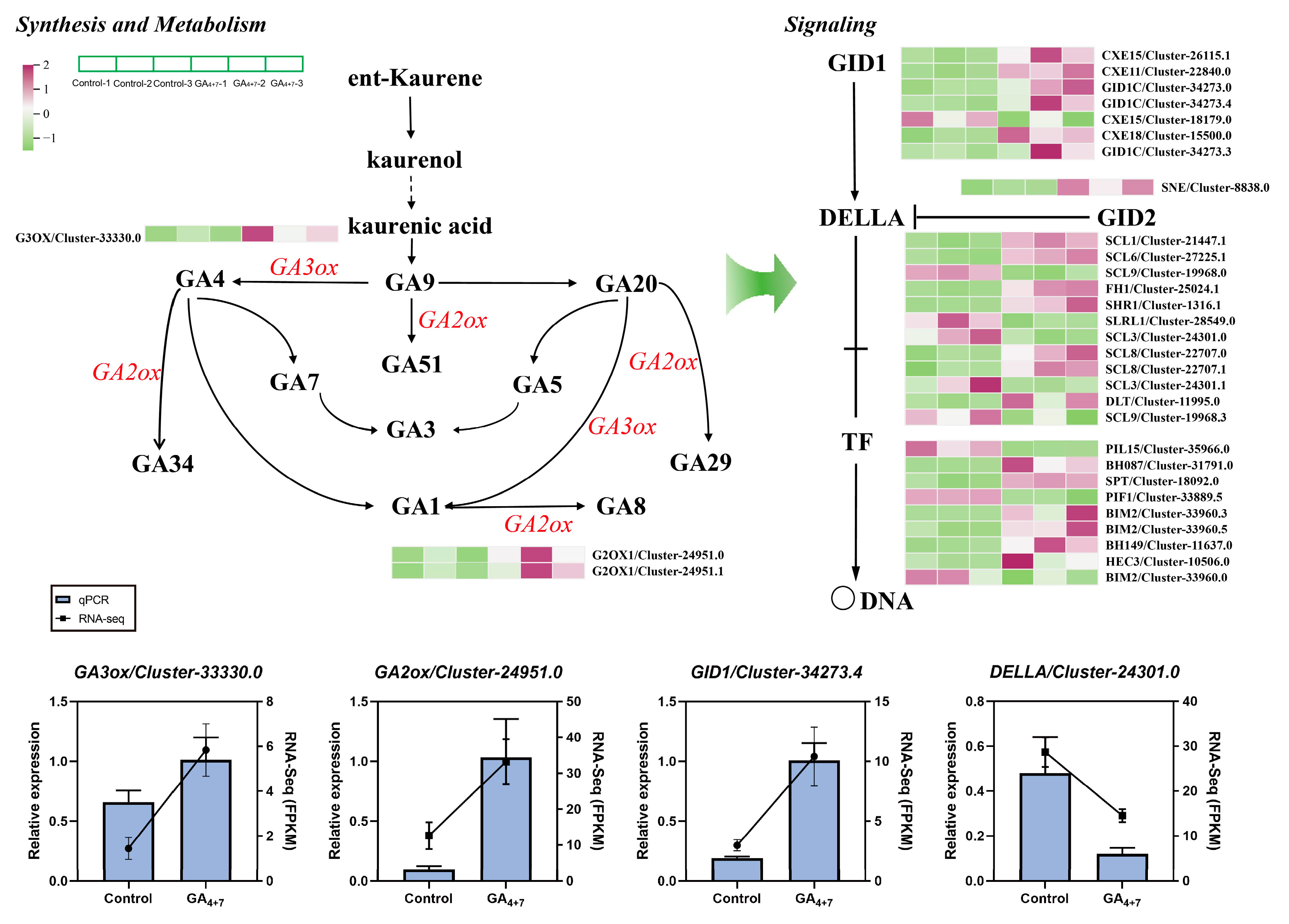 Horticulturae 11 00627 g004
