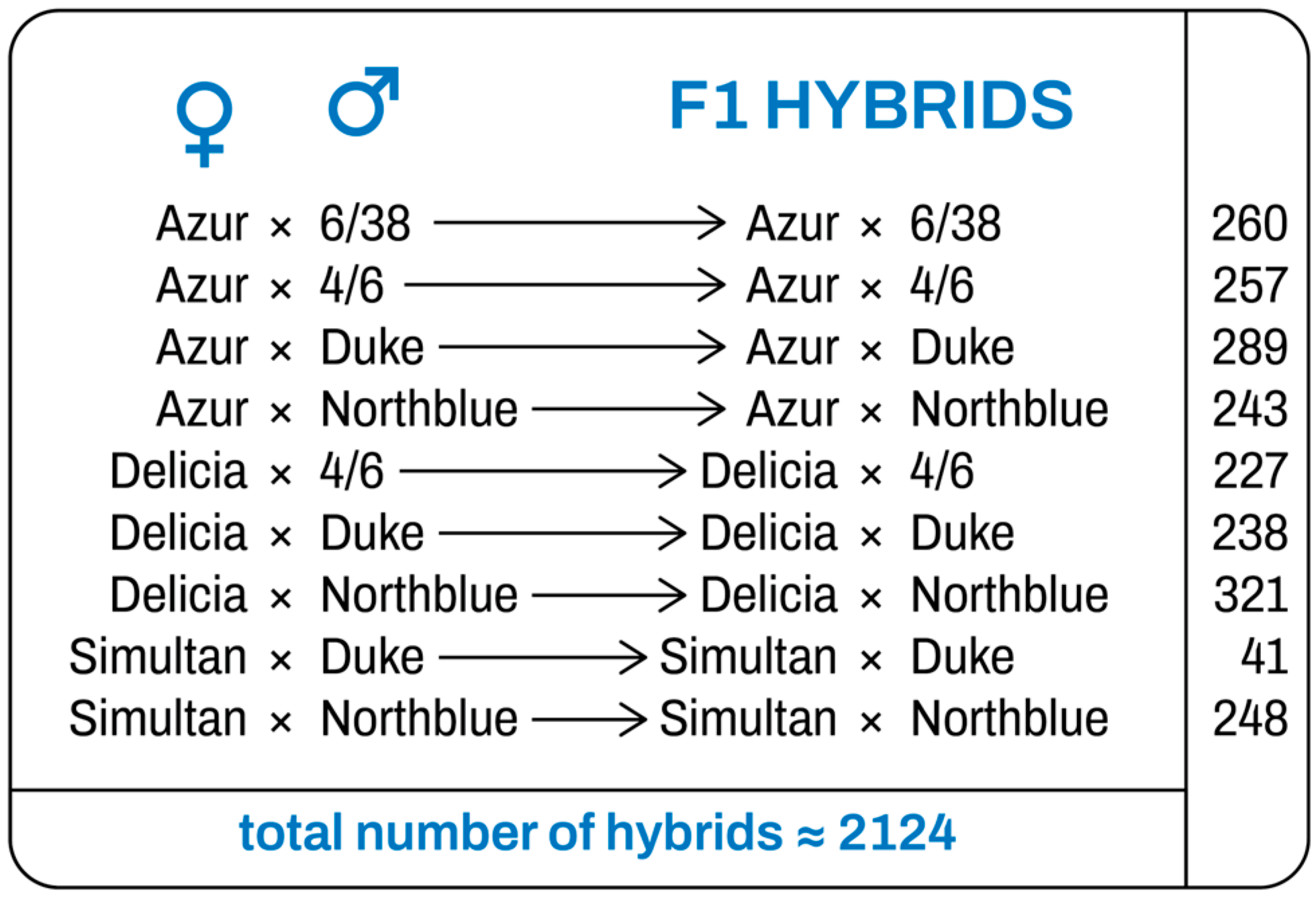 Horticulturae 11 00630 g003