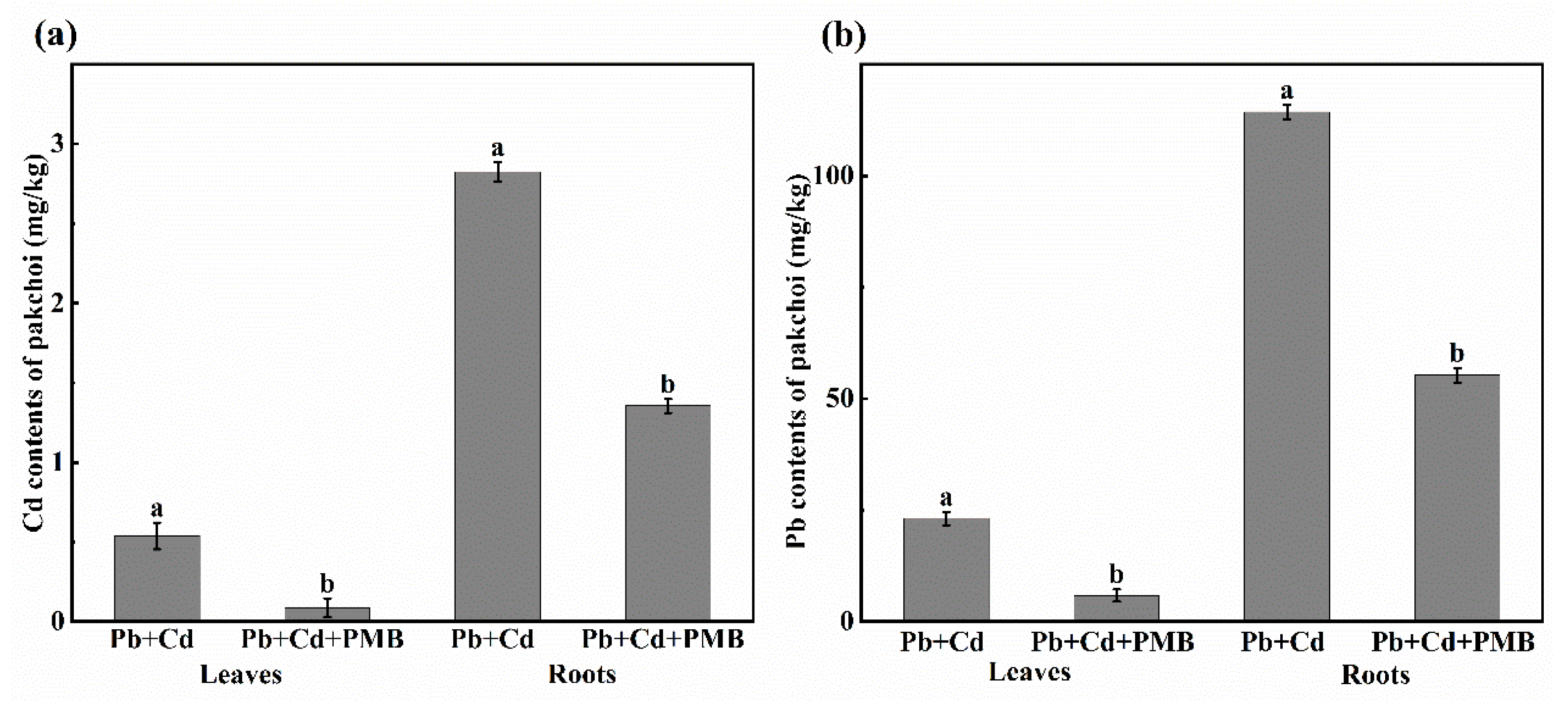 Horticulturae 11 00632 g001