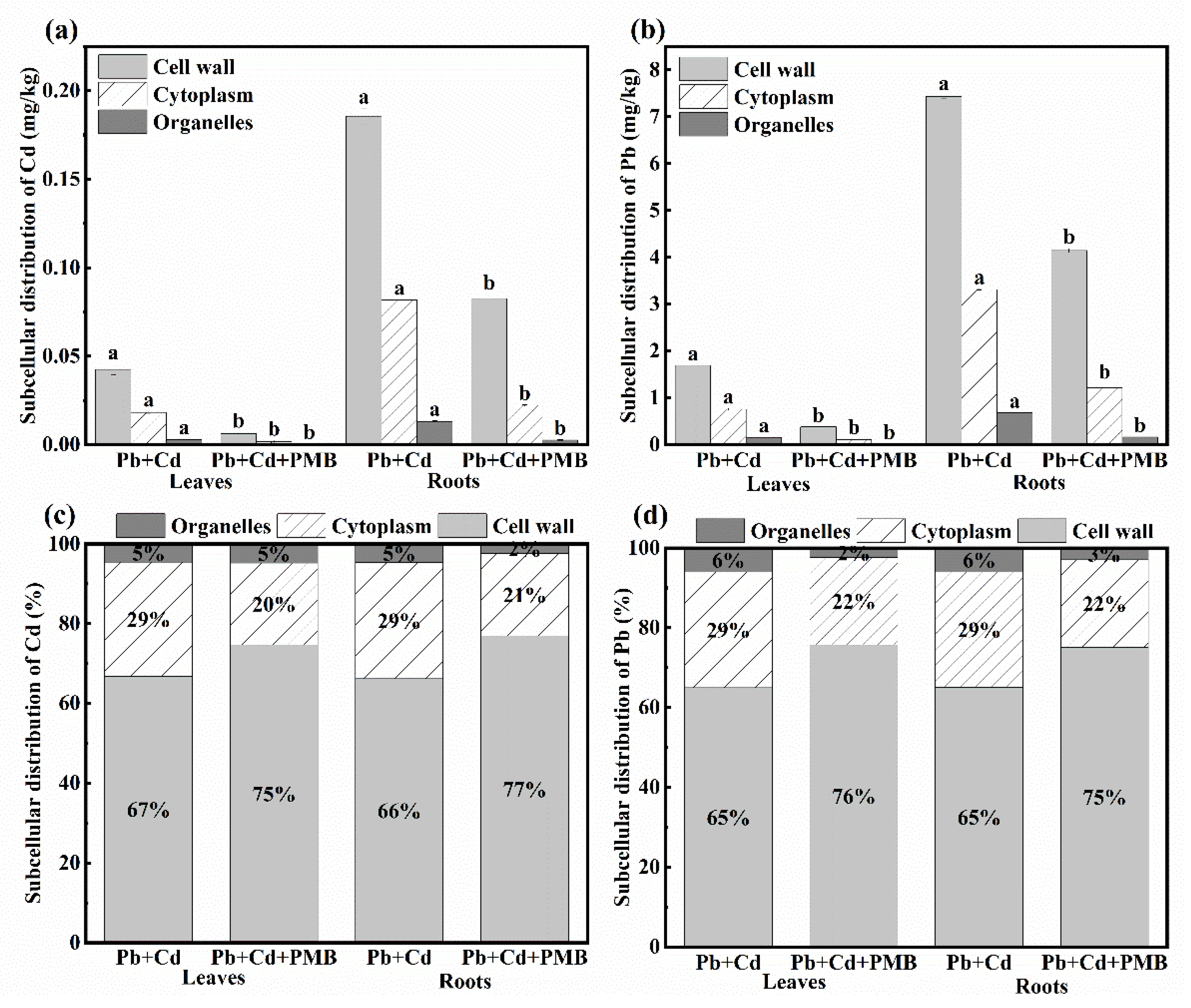 Horticulturae 11 00632 g002