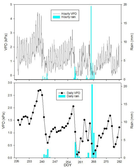 Continuous Proximal Monitoring of Diameter Variation from