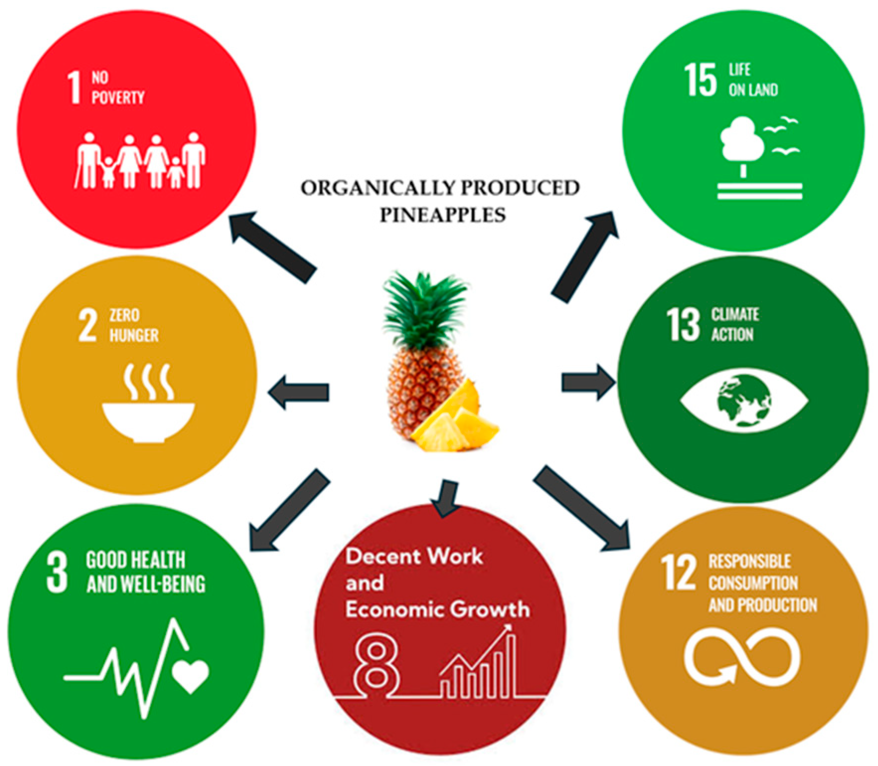 Horticulturae 11 00636 g002