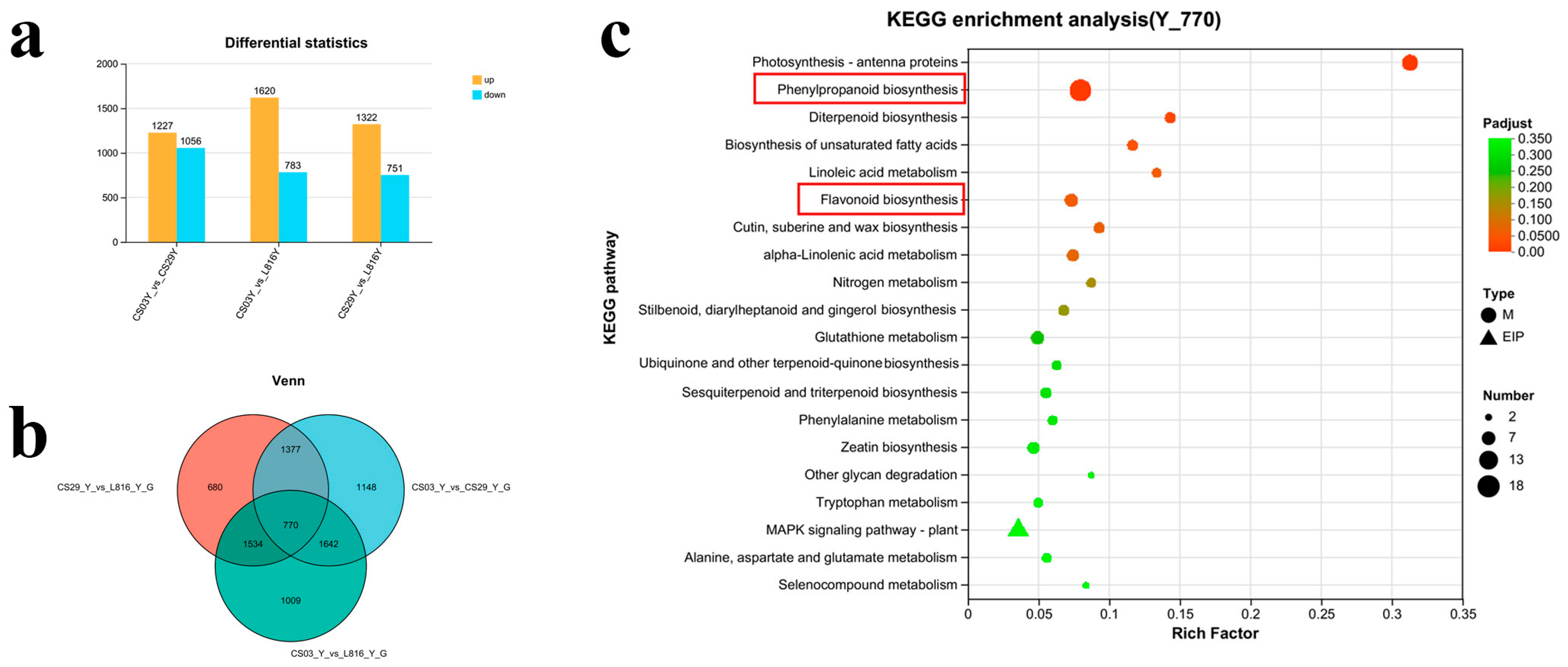 Horticulturae 11 00638 g004