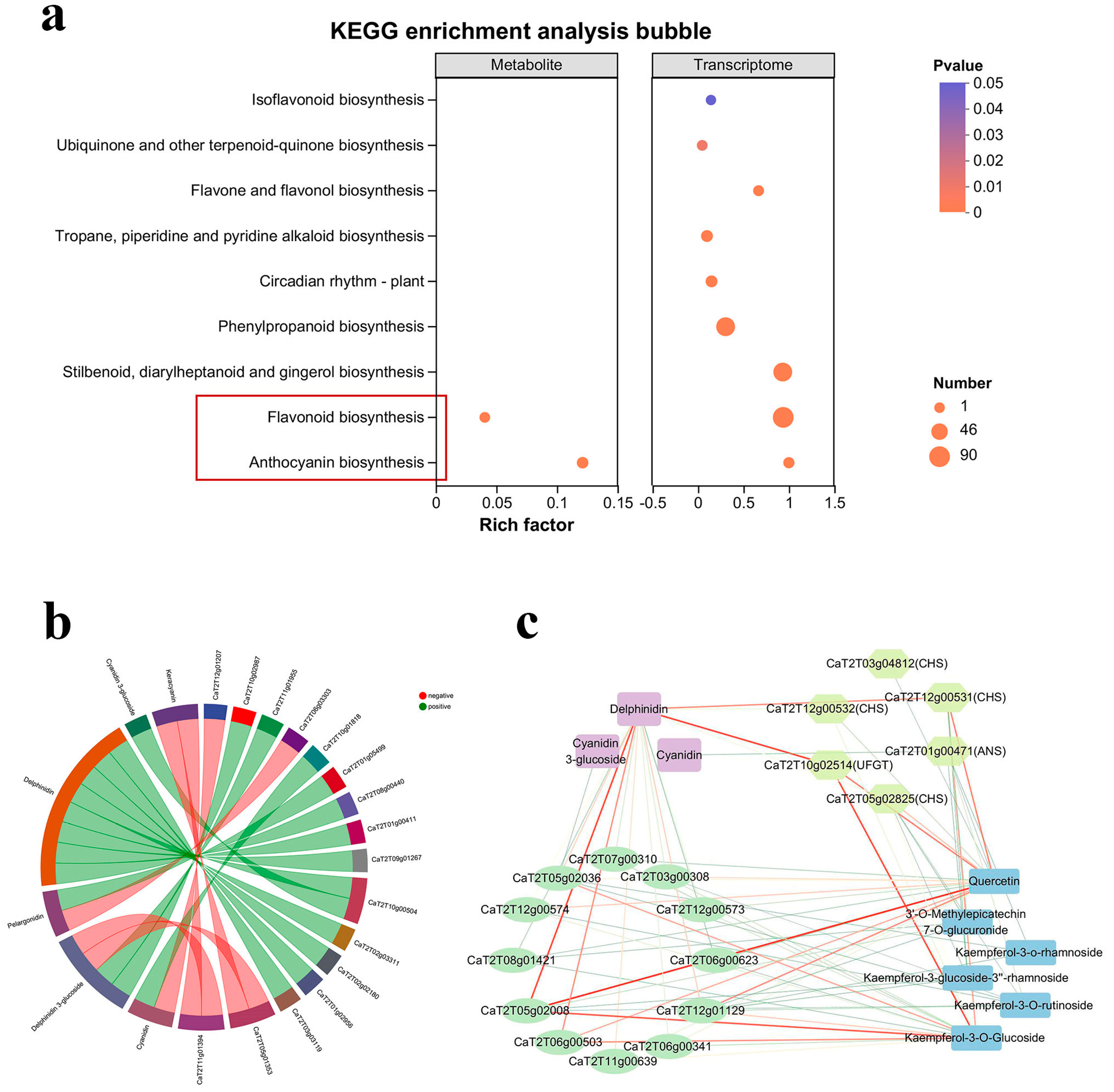 Horticulturae 11 00638 g005