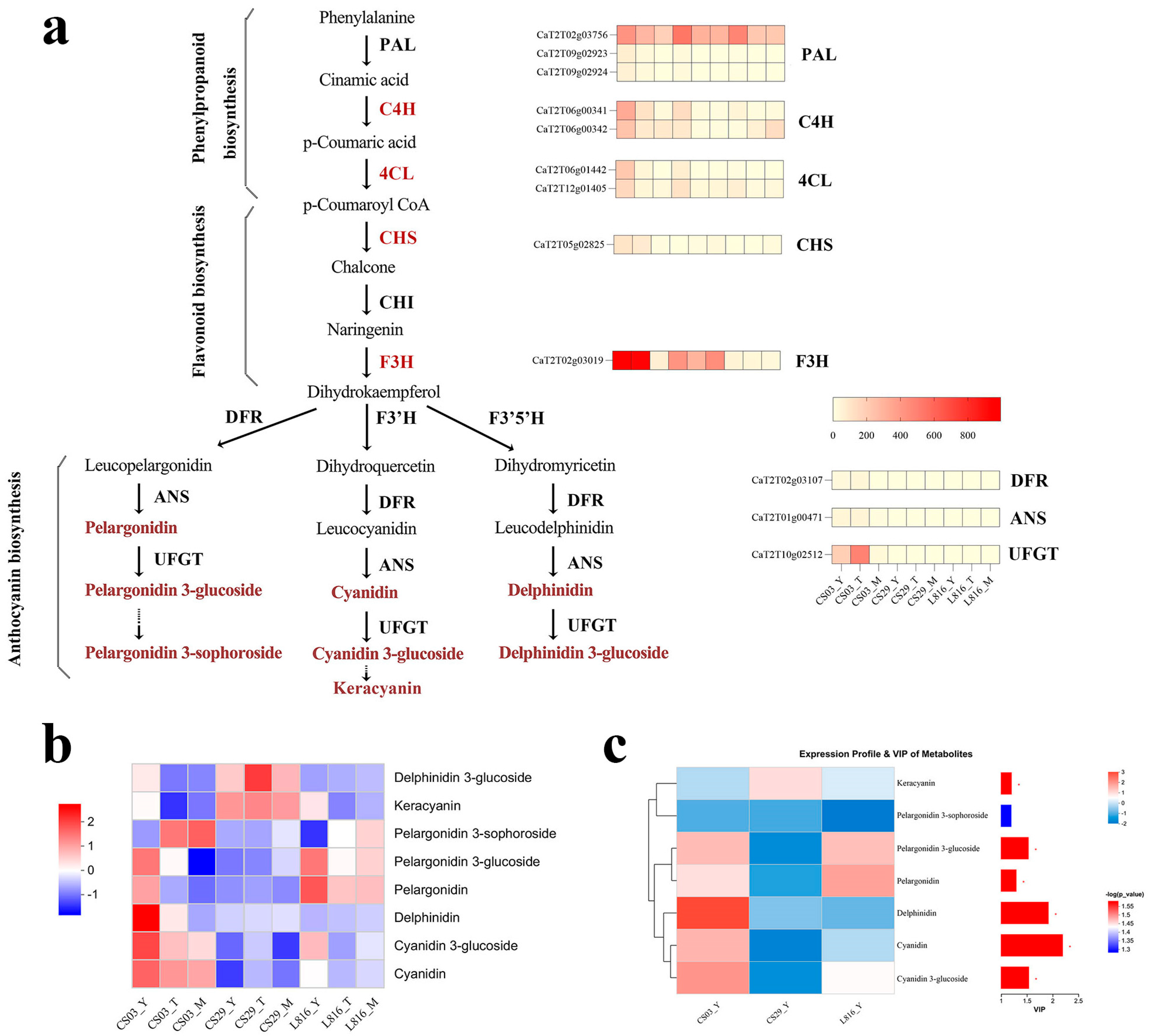 Horticulturae 11 00638 g006