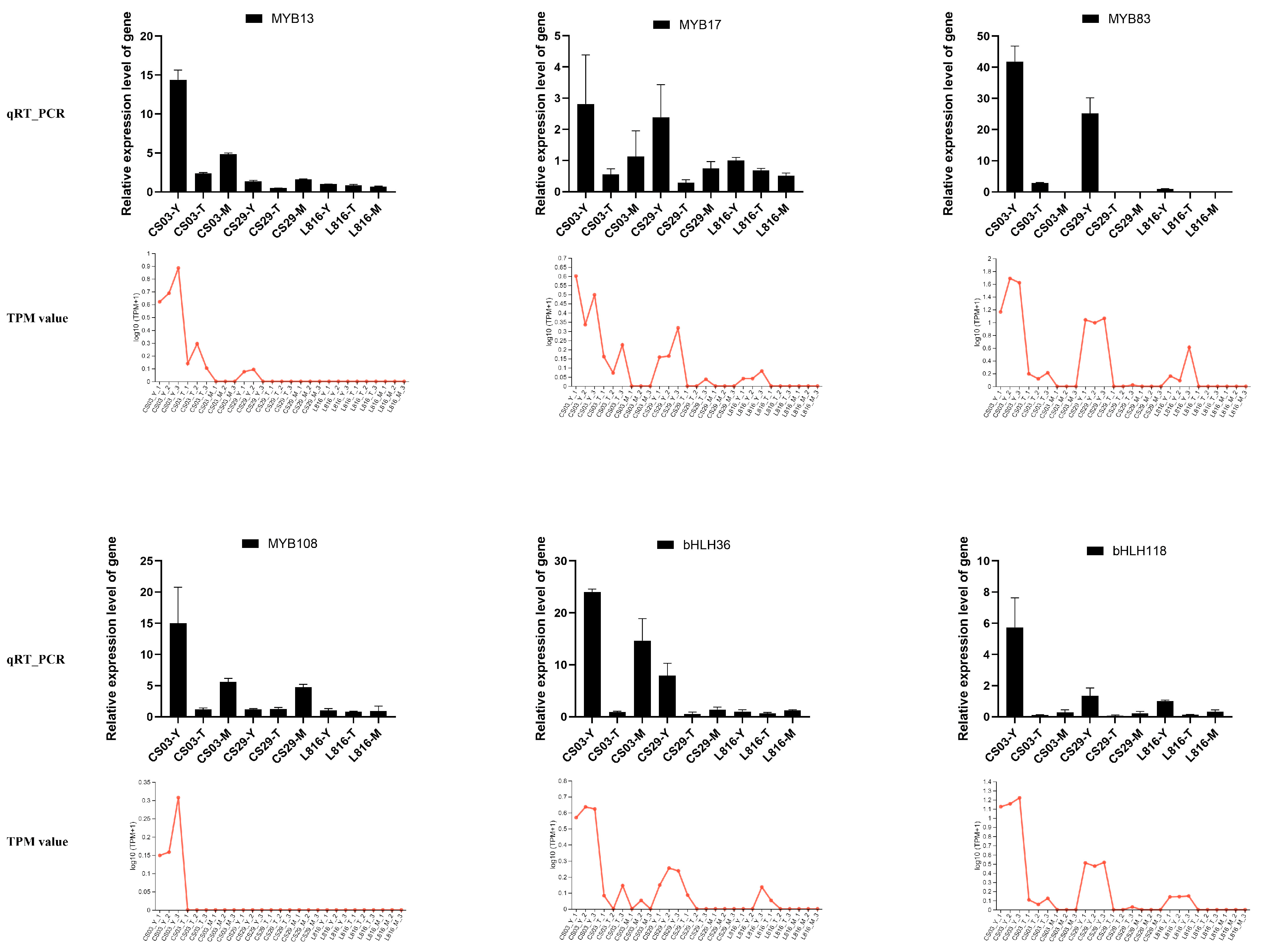 Horticulturae 11 00638 g007