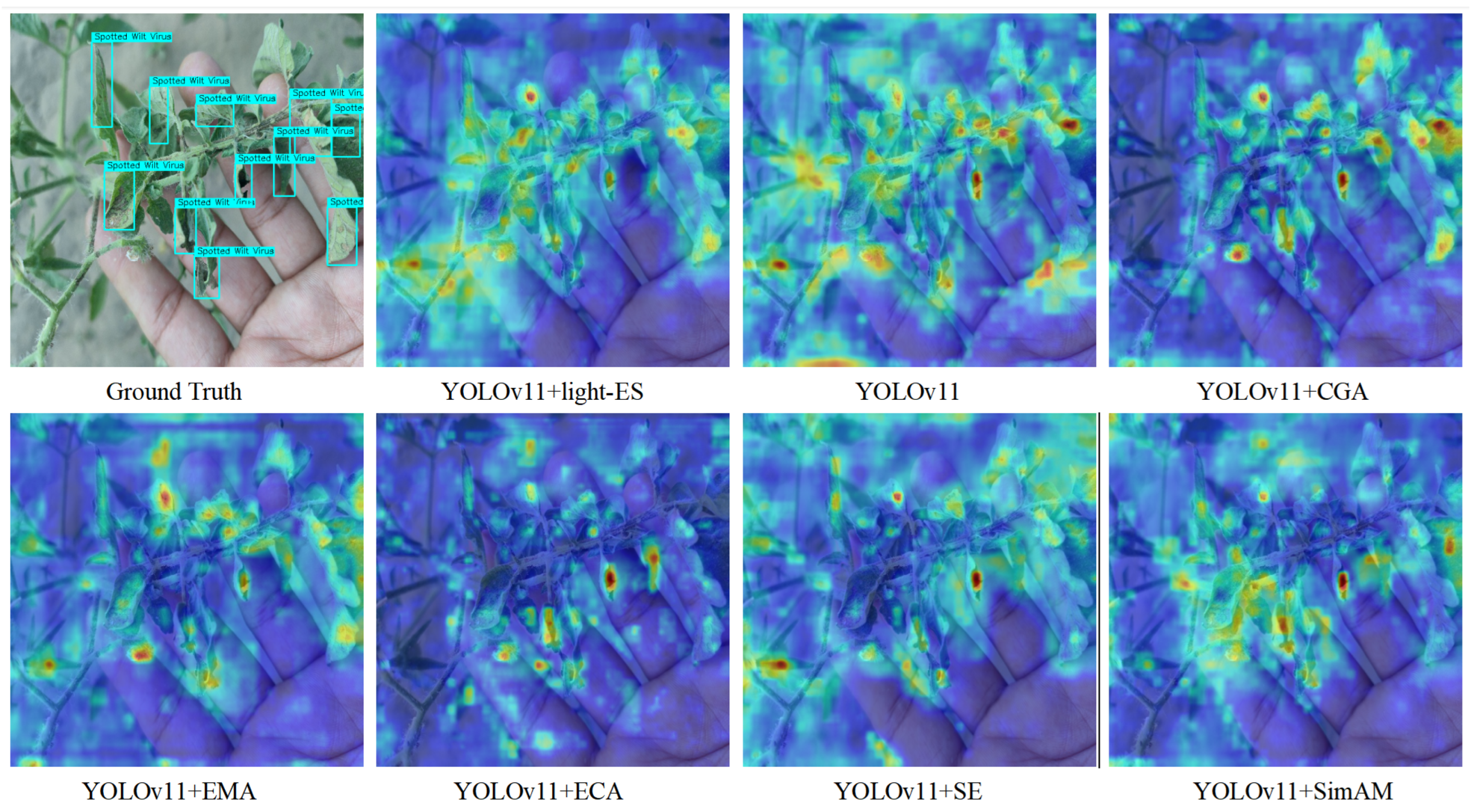 Horticulturae 11 00639 g007