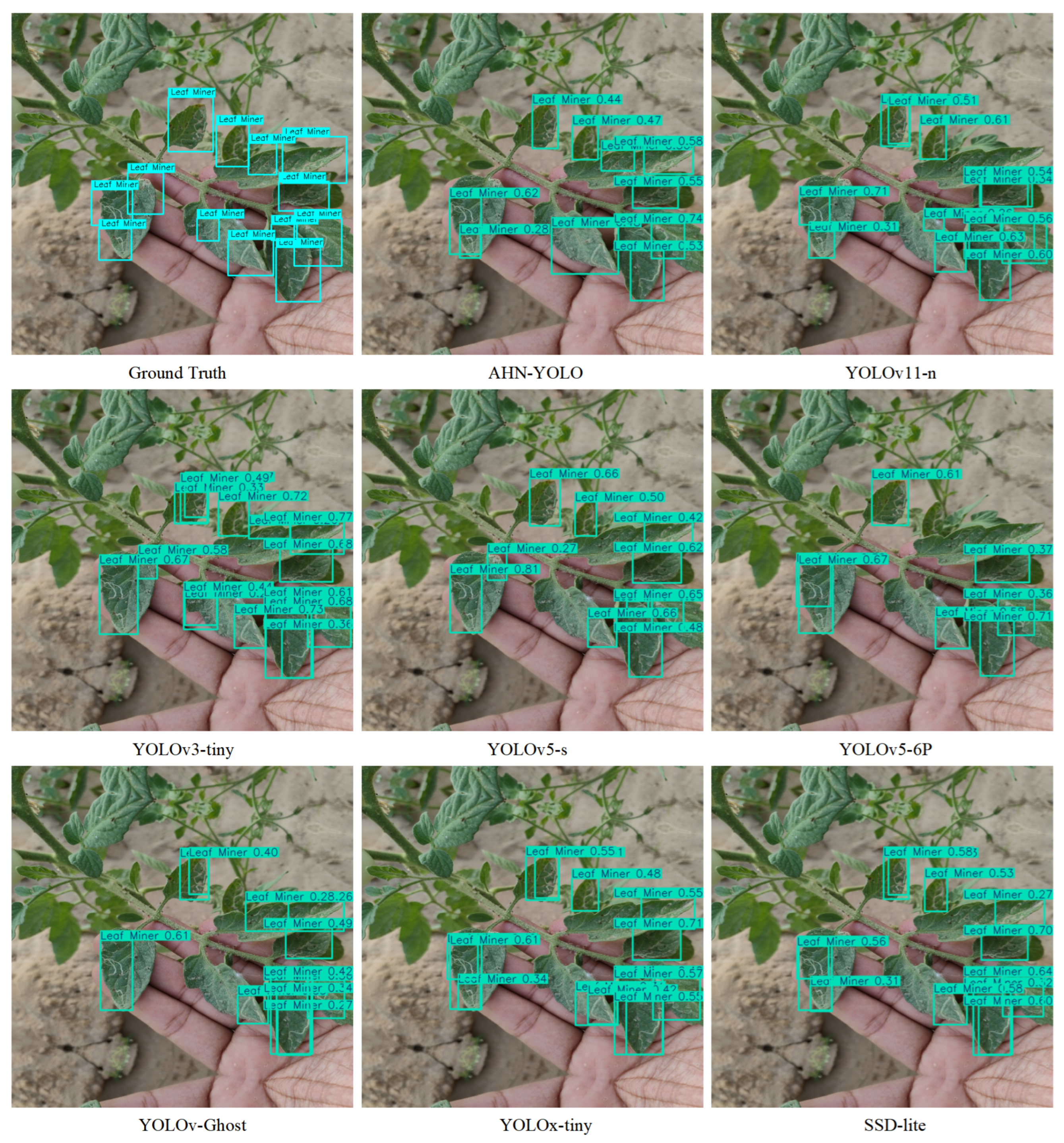 Horticulturae 11 00639 g010