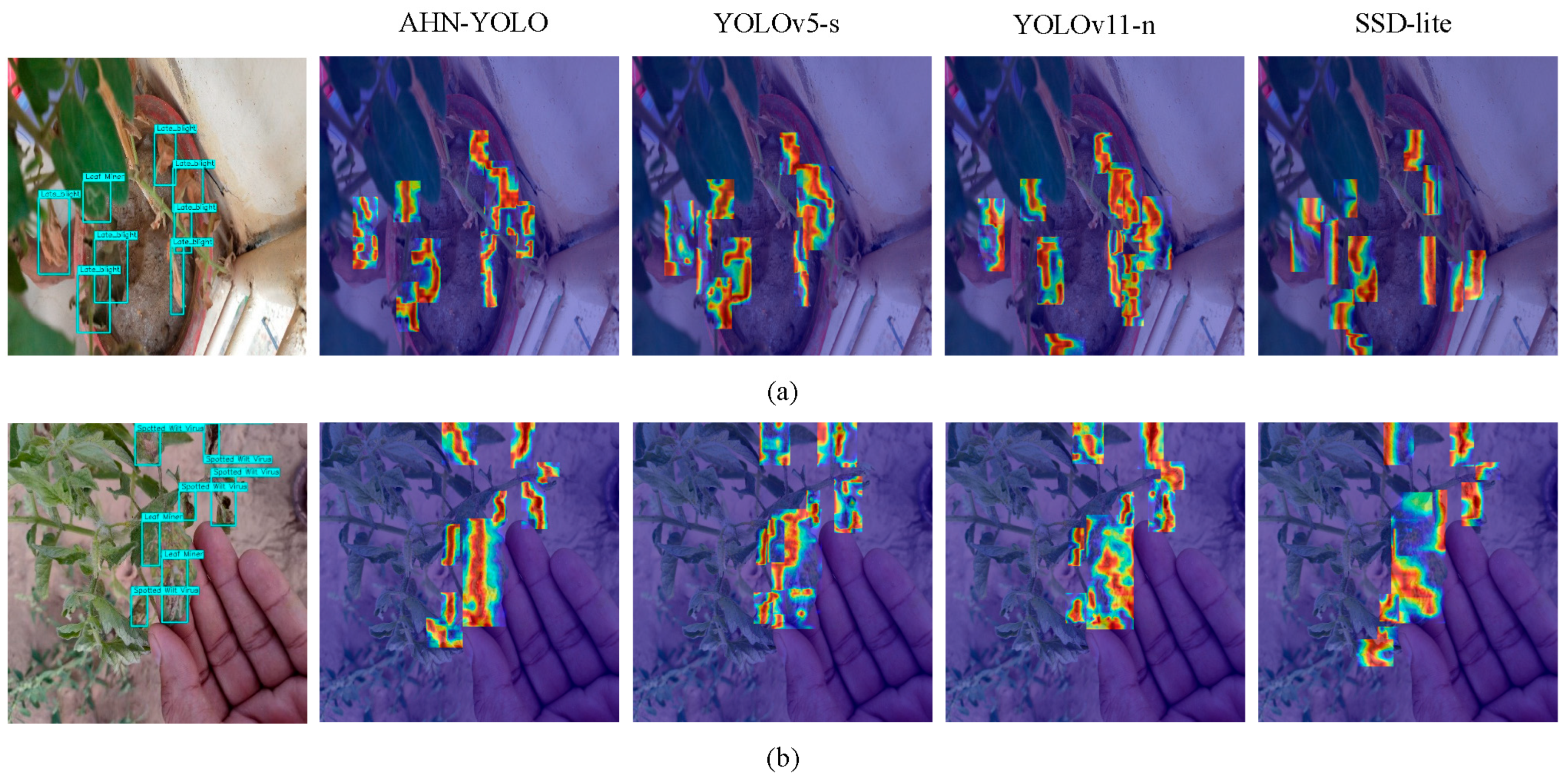 Horticulturae 11 00639 g011a