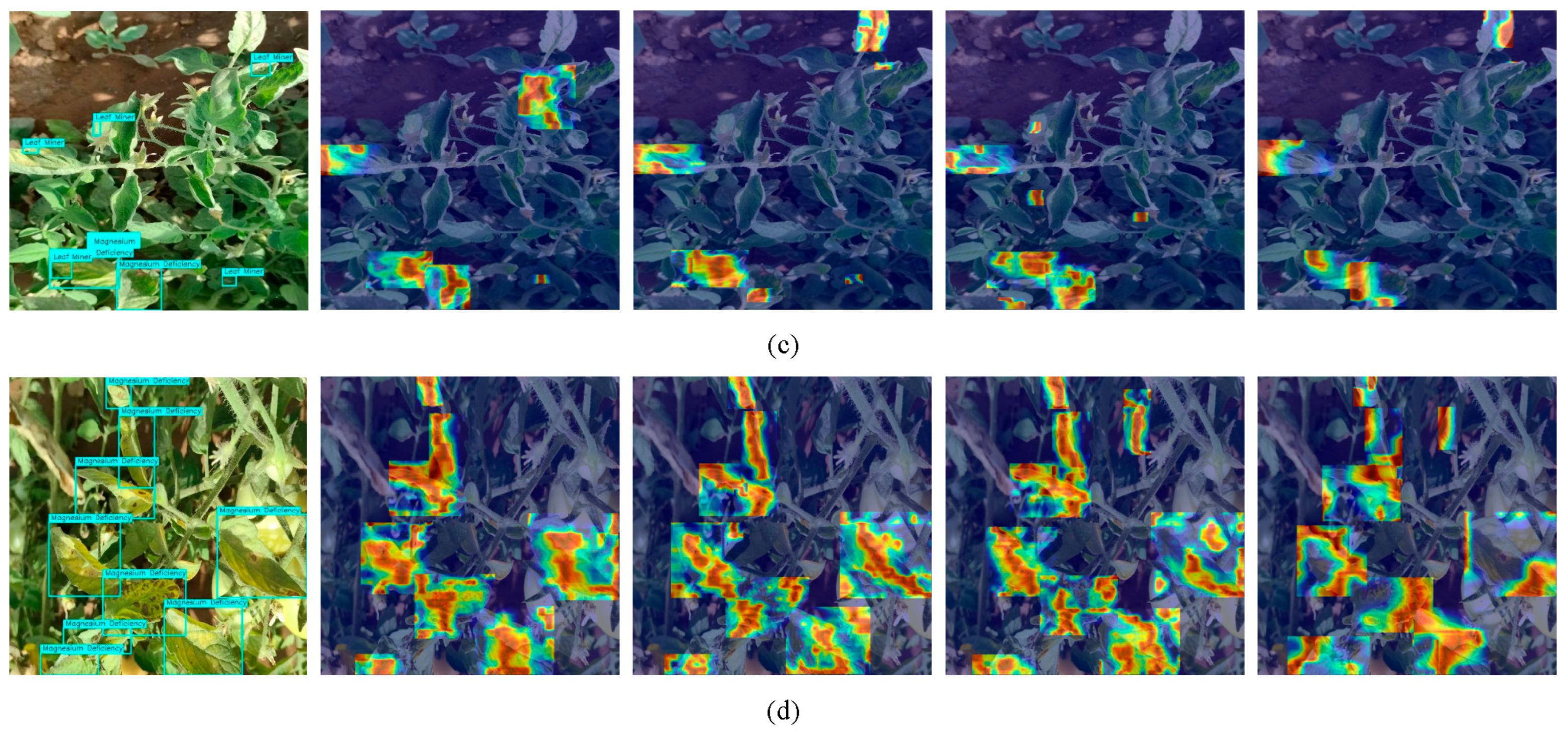 Horticulturae 11 00639 g011b