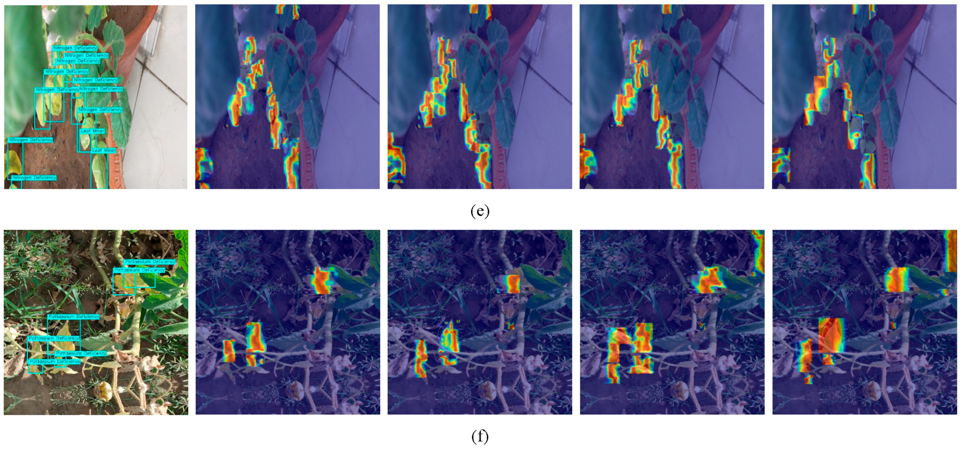 Horticulturae 11 00639 g011c