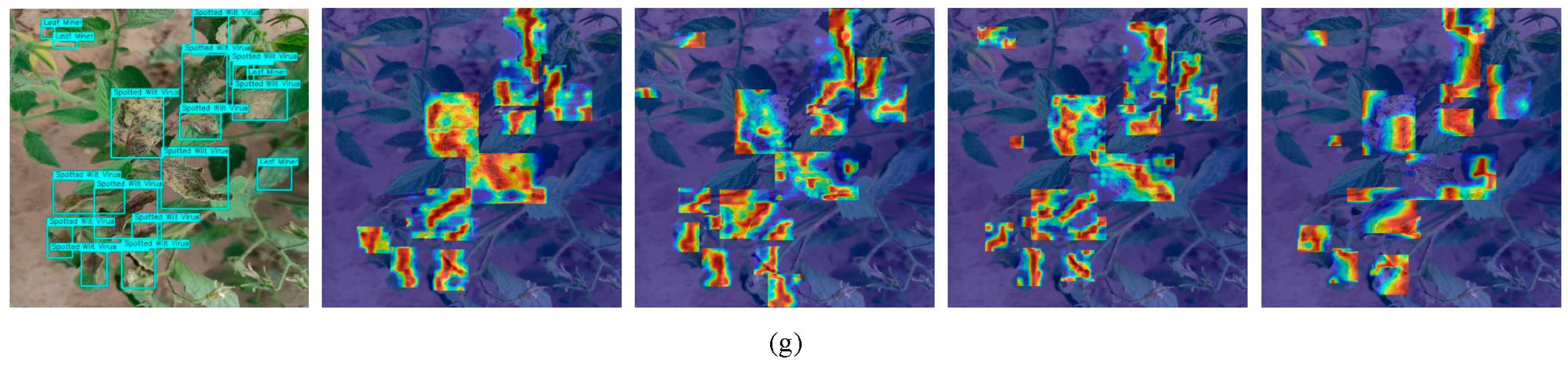 Horticulturae 11 00639 g011d