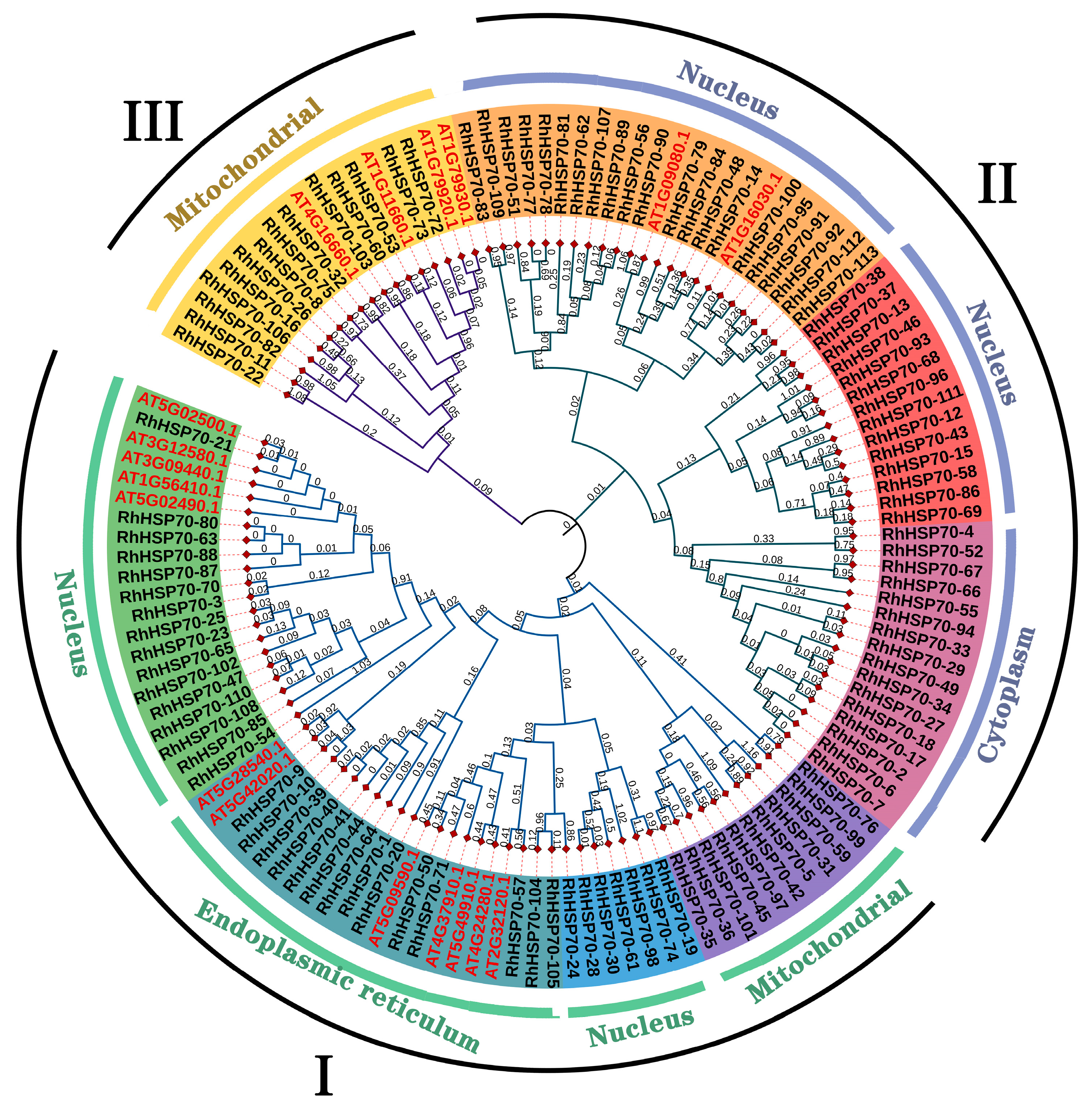 Horticulturae 11 00643 g002