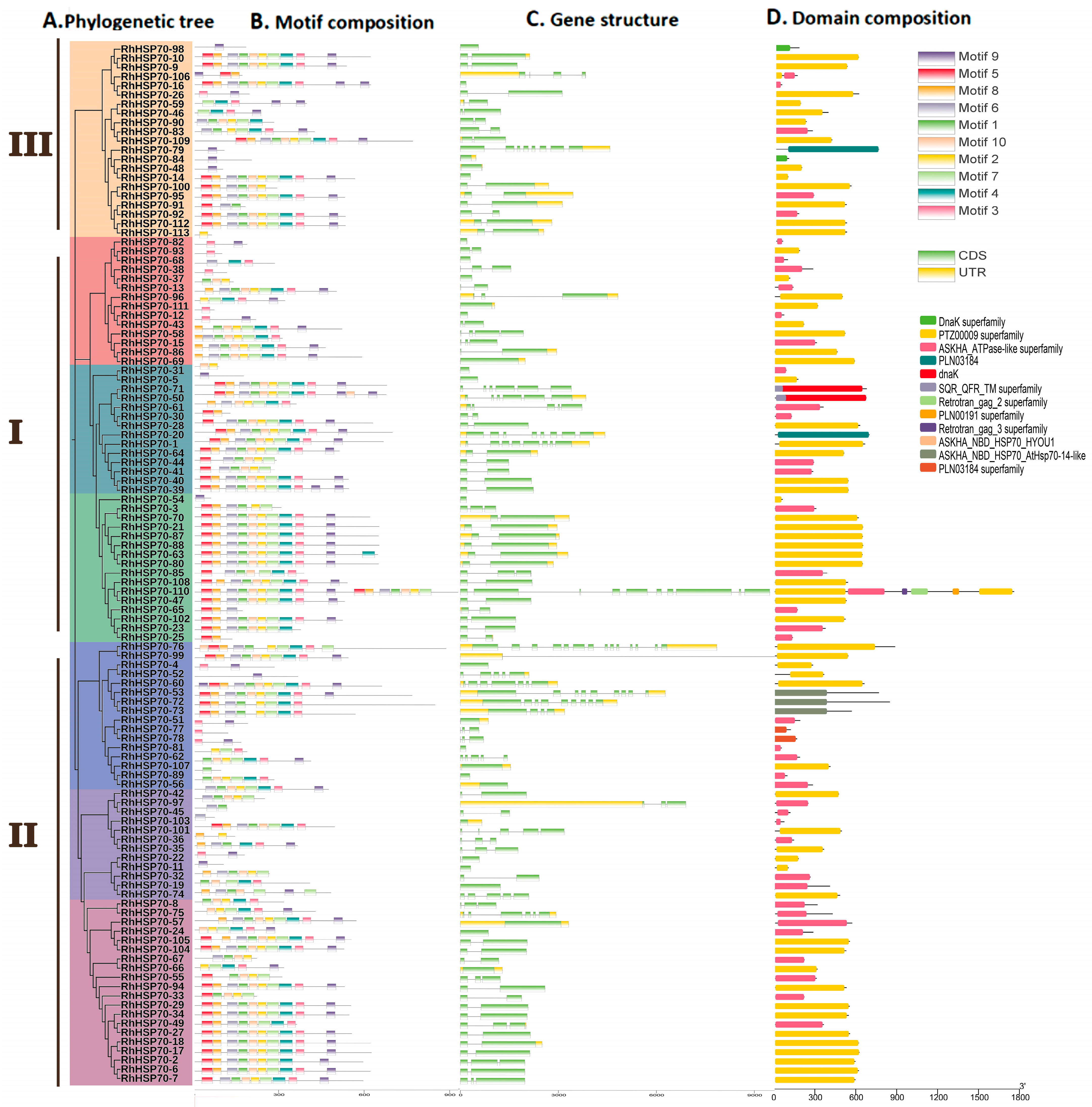 Horticulturae 11 00643 g003