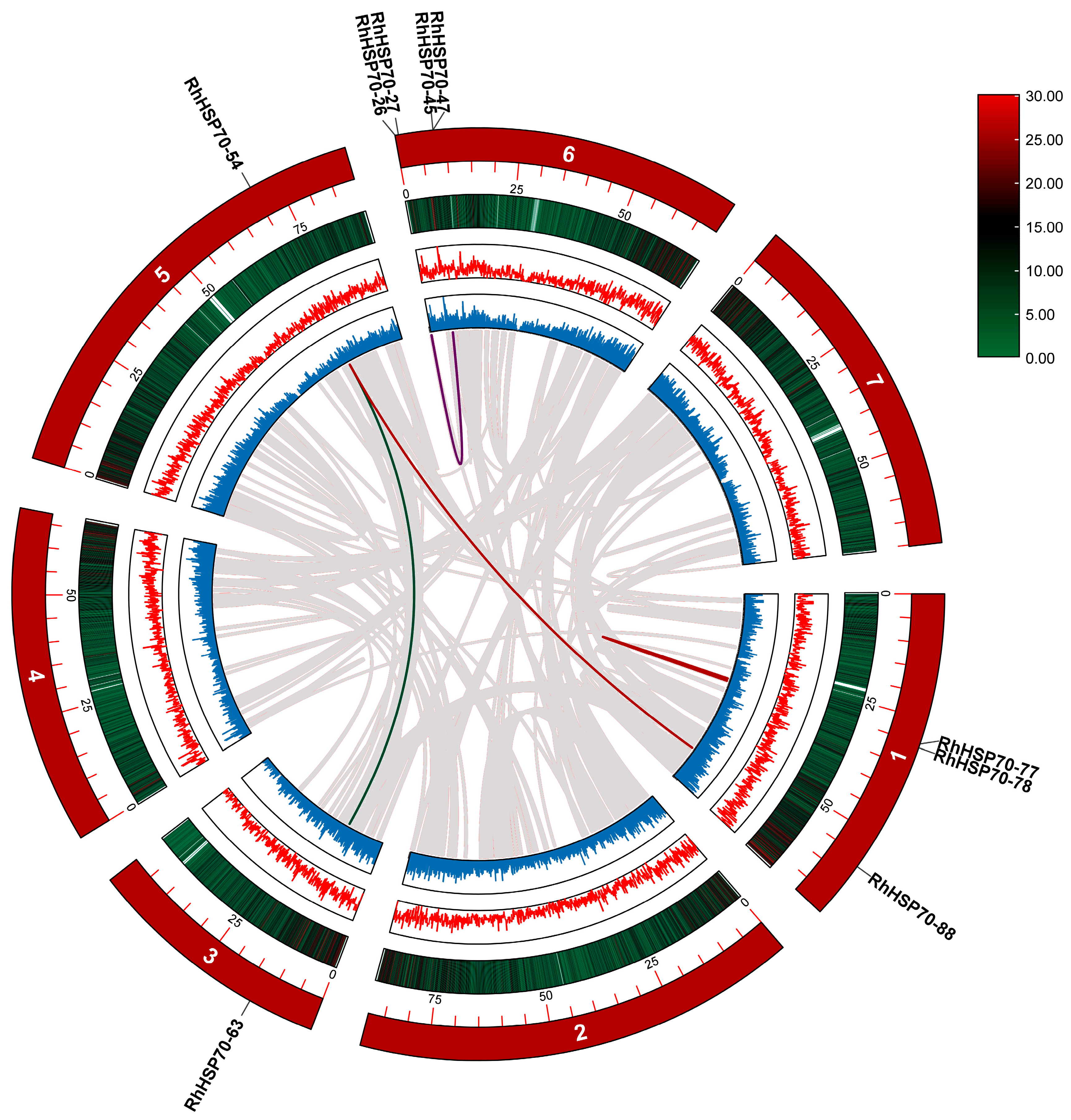 Horticulturae 11 00643 g005