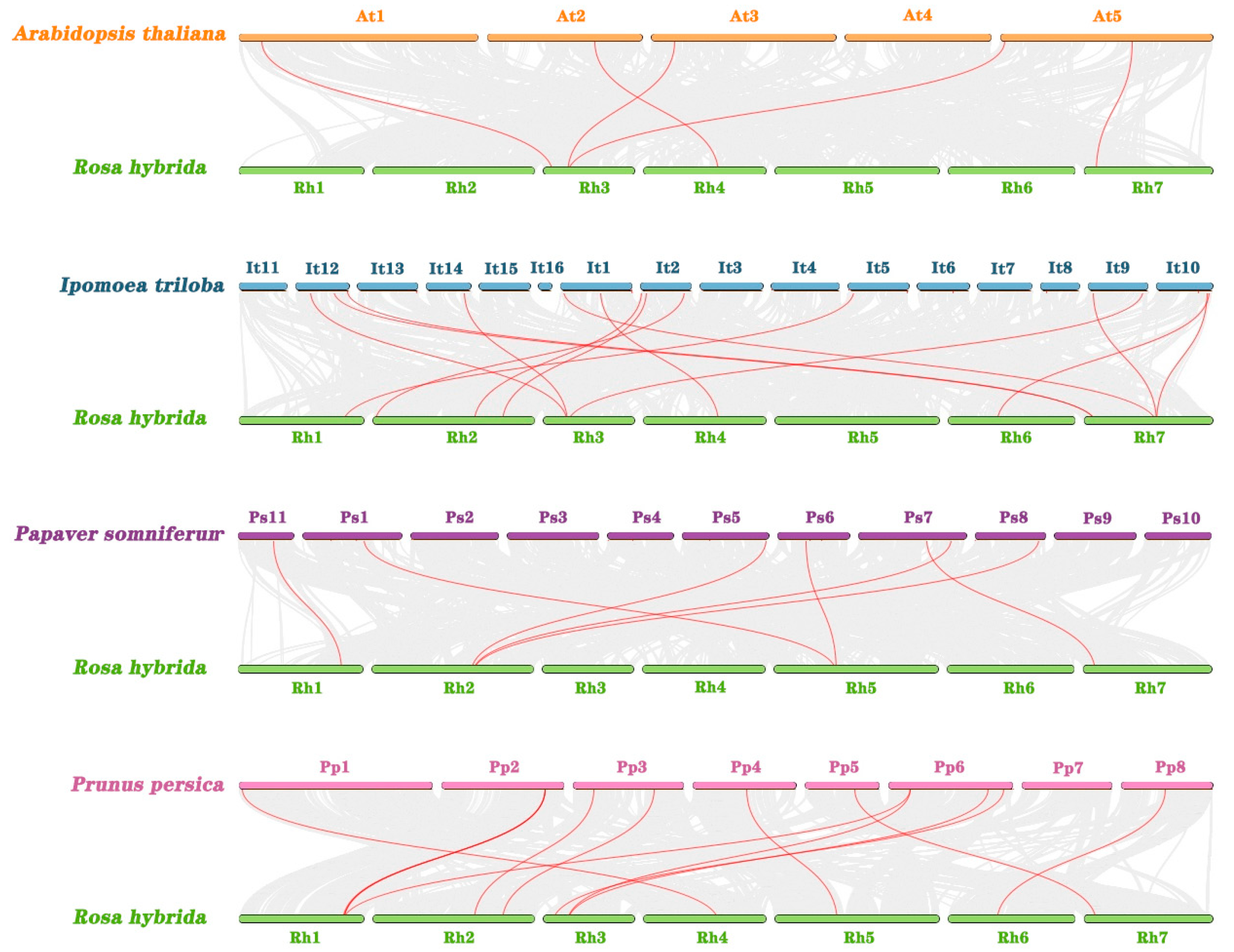 Horticulturae 11 00643 g006