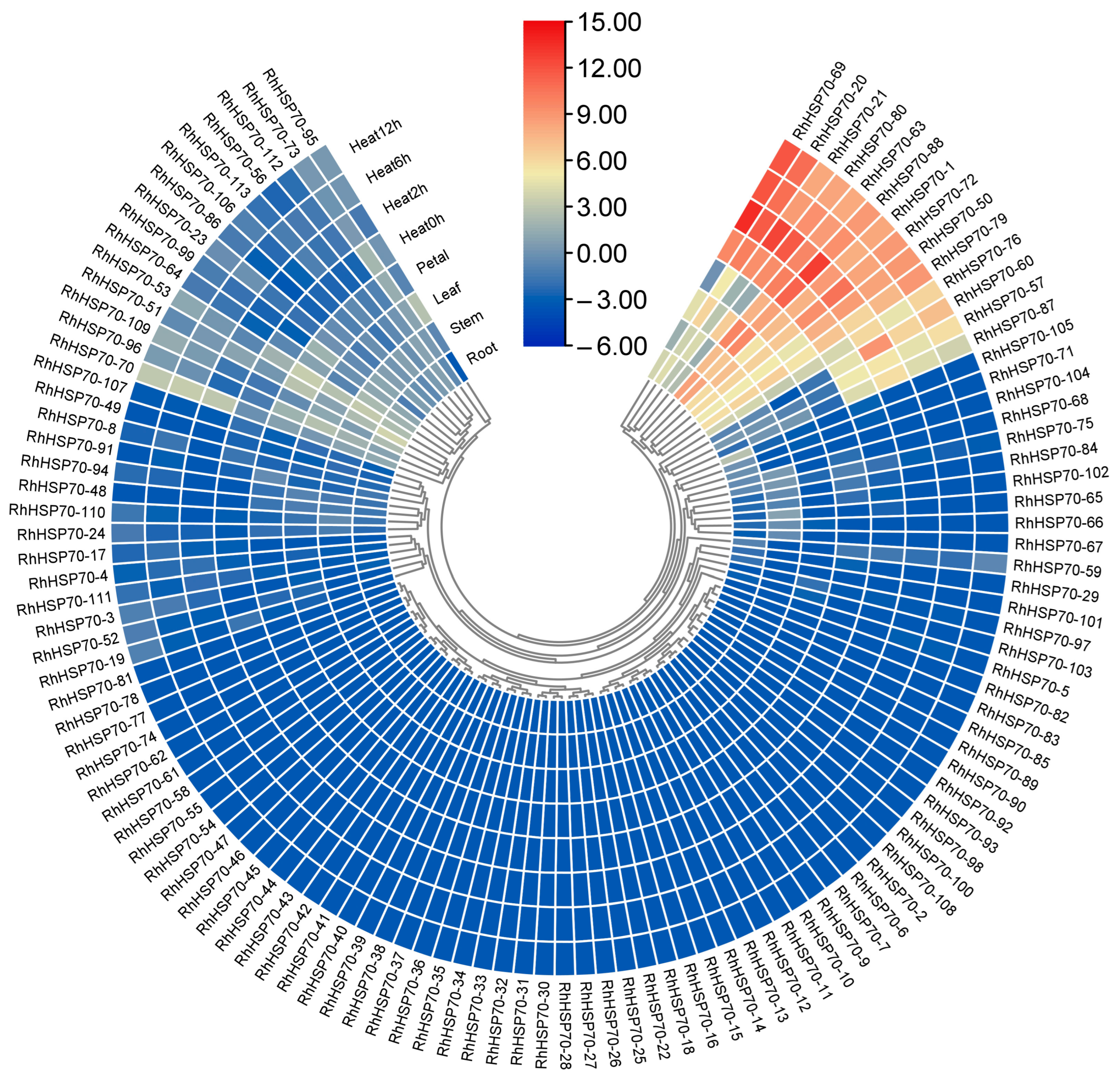 Horticulturae 11 00643 g008